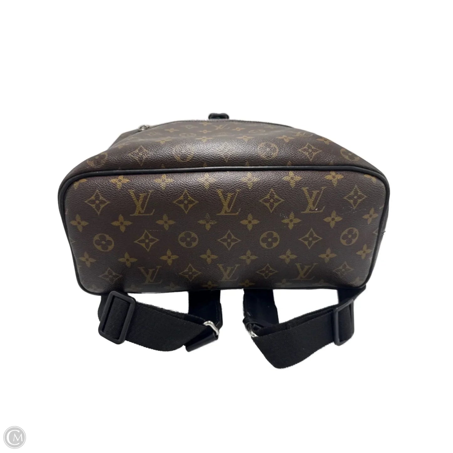 Louis Vuitton Palk Designer Luxury Backpack