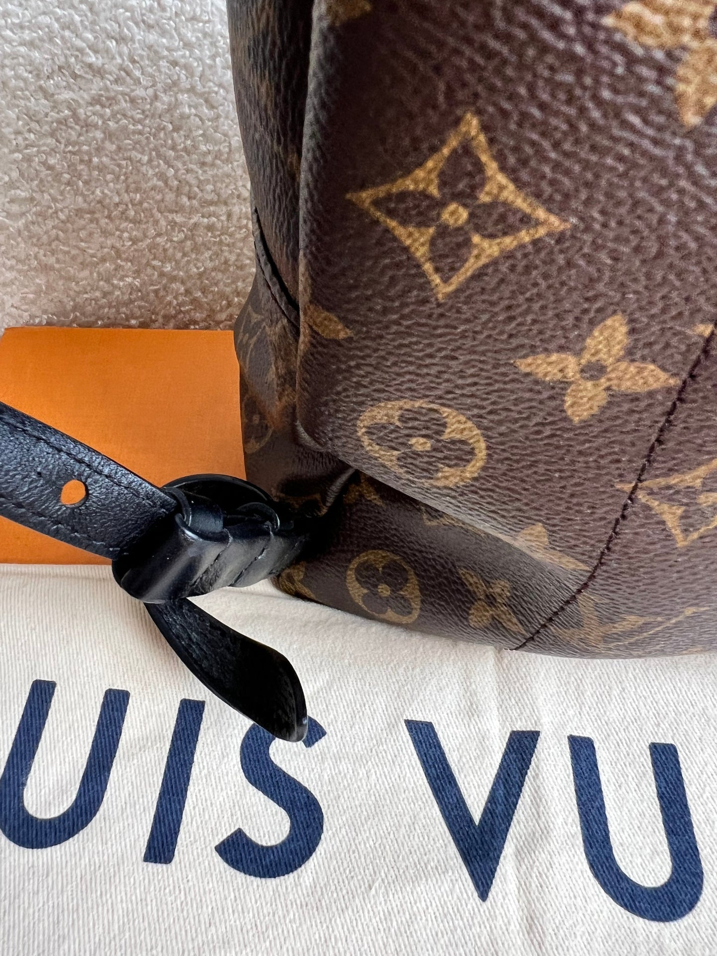 Louis Vuitton Palm Springs PM Backpack (RRP £1,860)