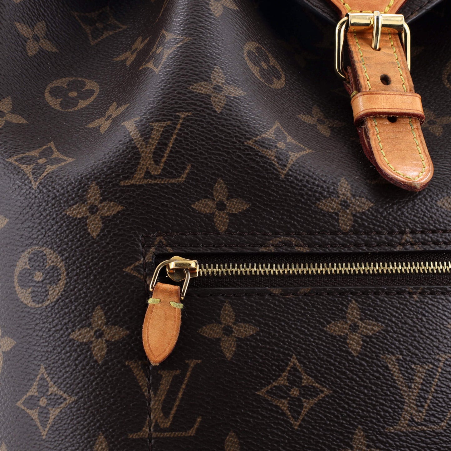 Montsouris Backpack Monogram Canvas