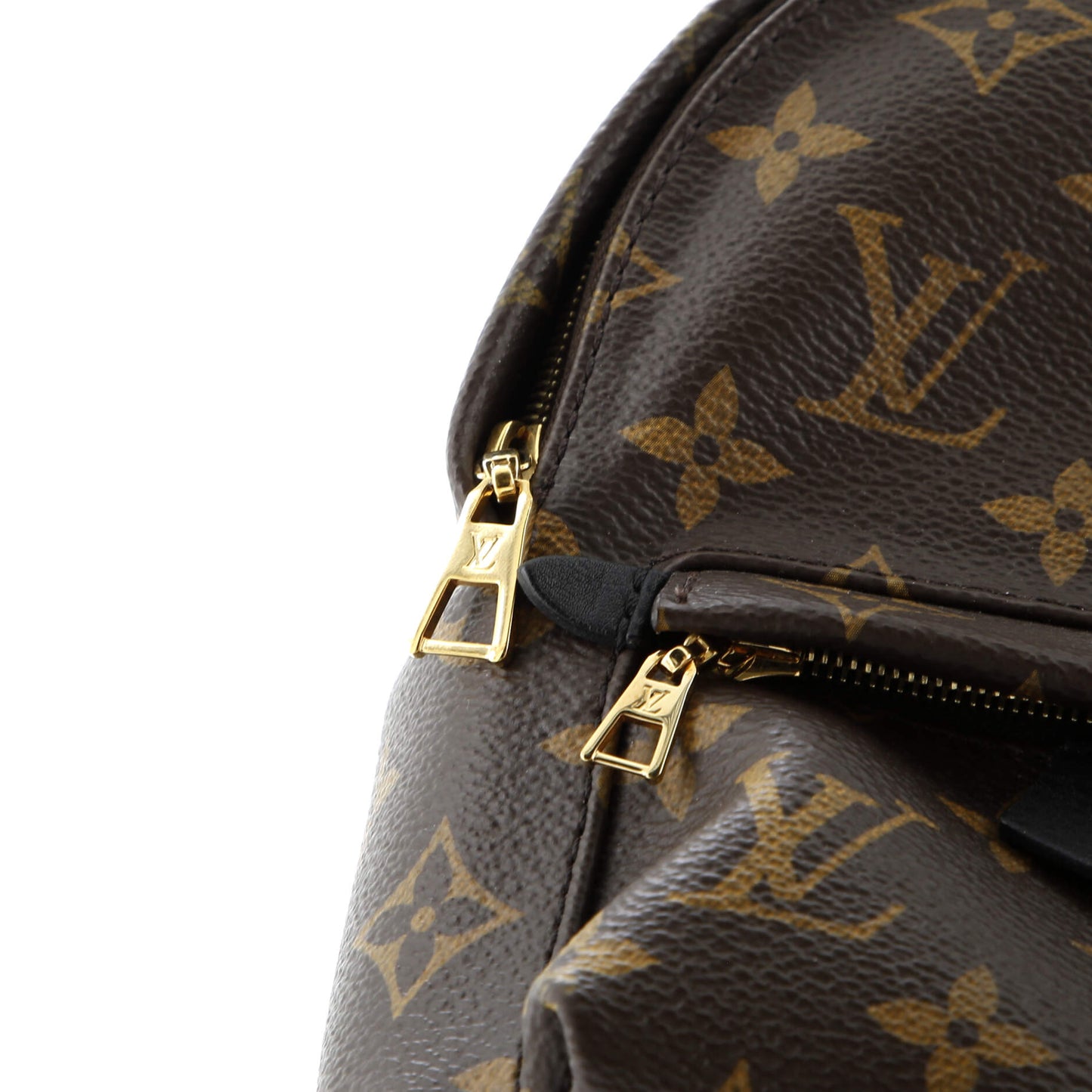 Palm Springs Backpack Monogram Canvas Mini