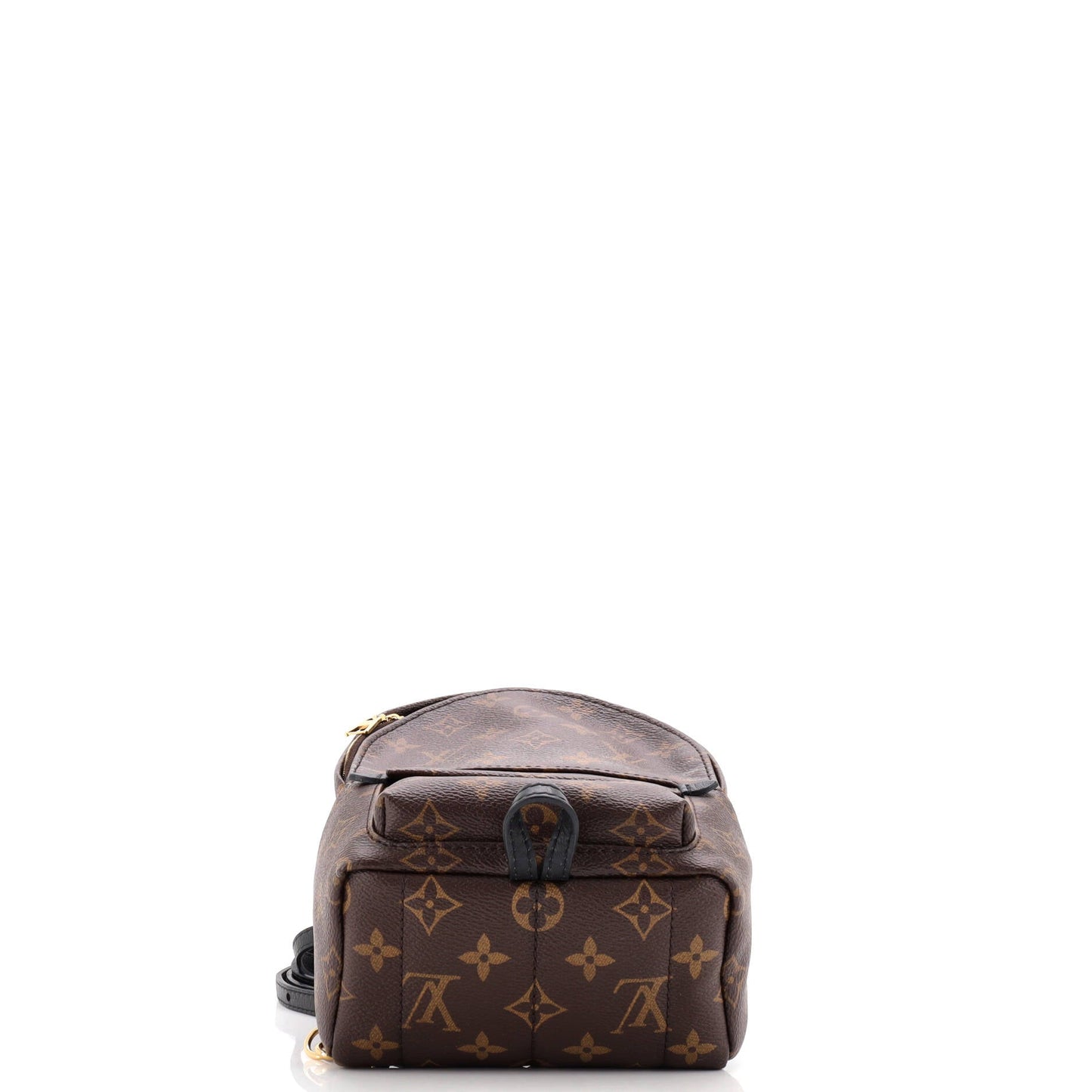 Palm Springs Backpack Monogram Canvas Mini