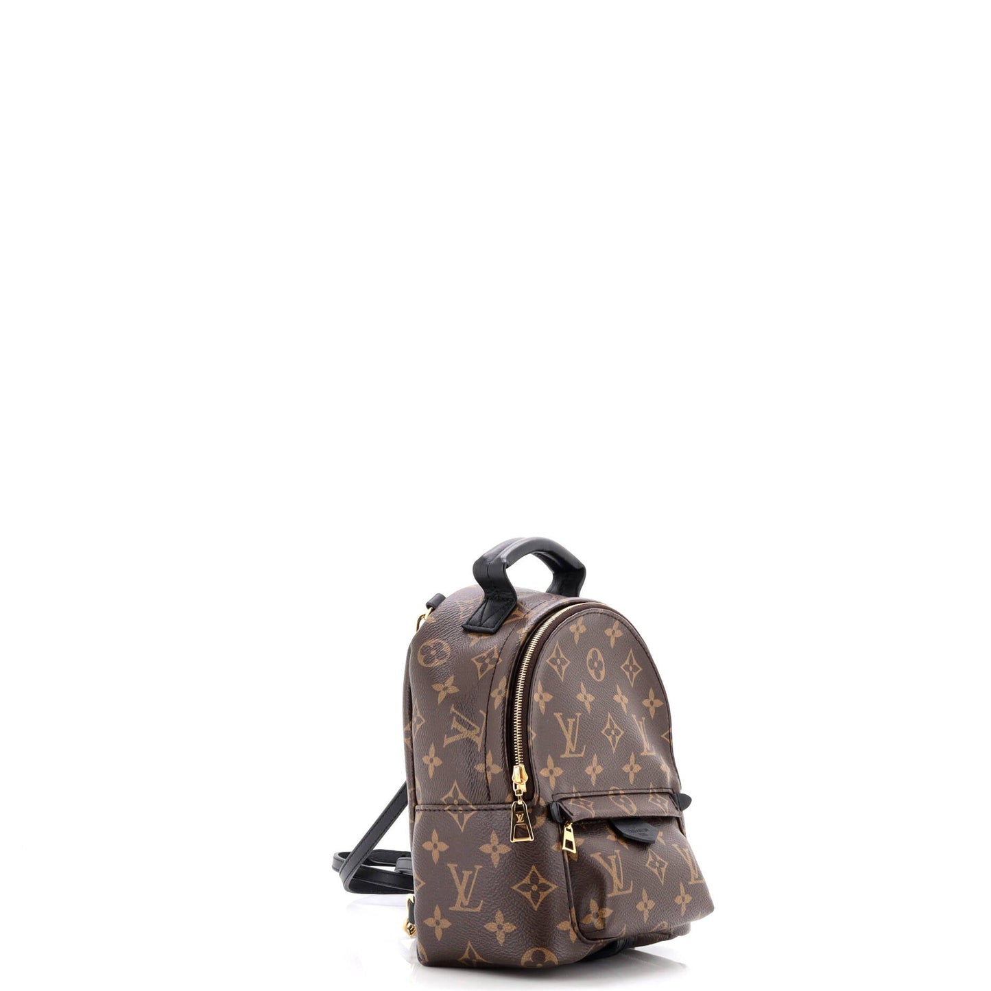 Palm Springs Backpack Monogram Canvas Mini