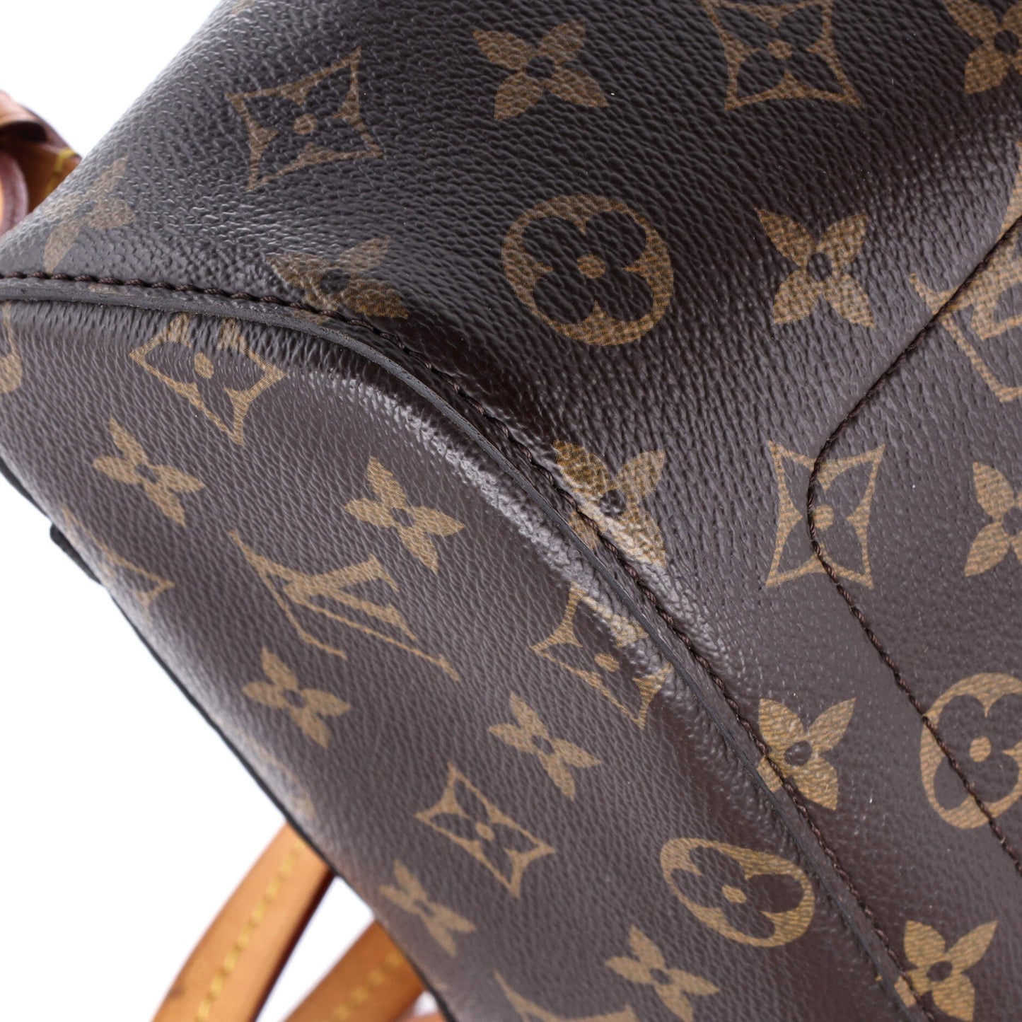 Montsouris NM Backpack Monogram Canvas PM