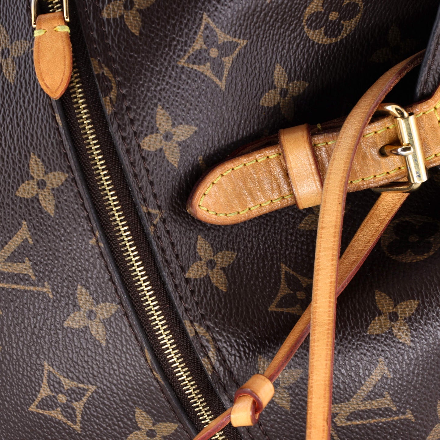 Montsouris NM Backpack Monogram Canvas PM