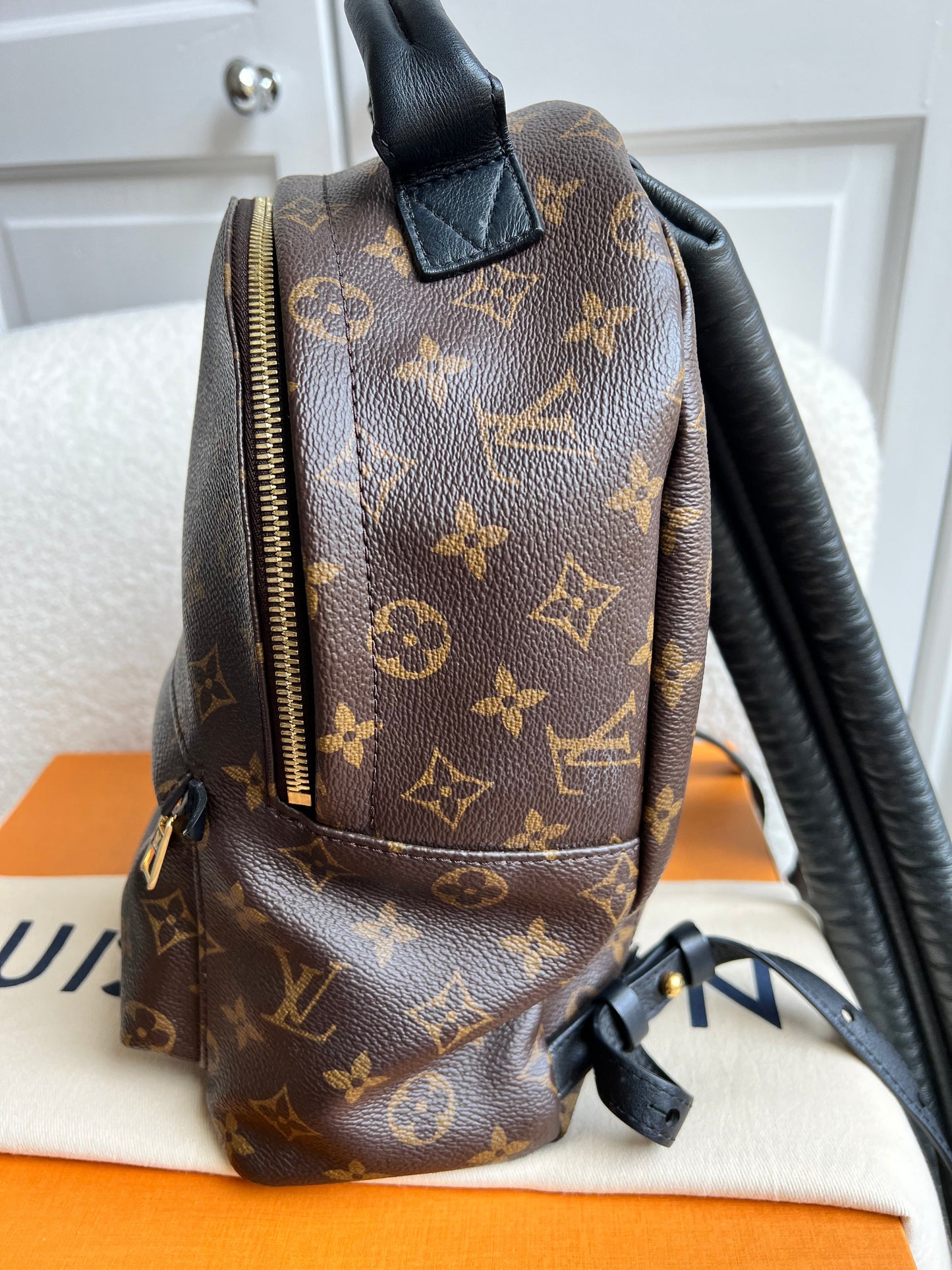 Louis Vuitton Palm Springs PM Backpack (RRP £1,860)