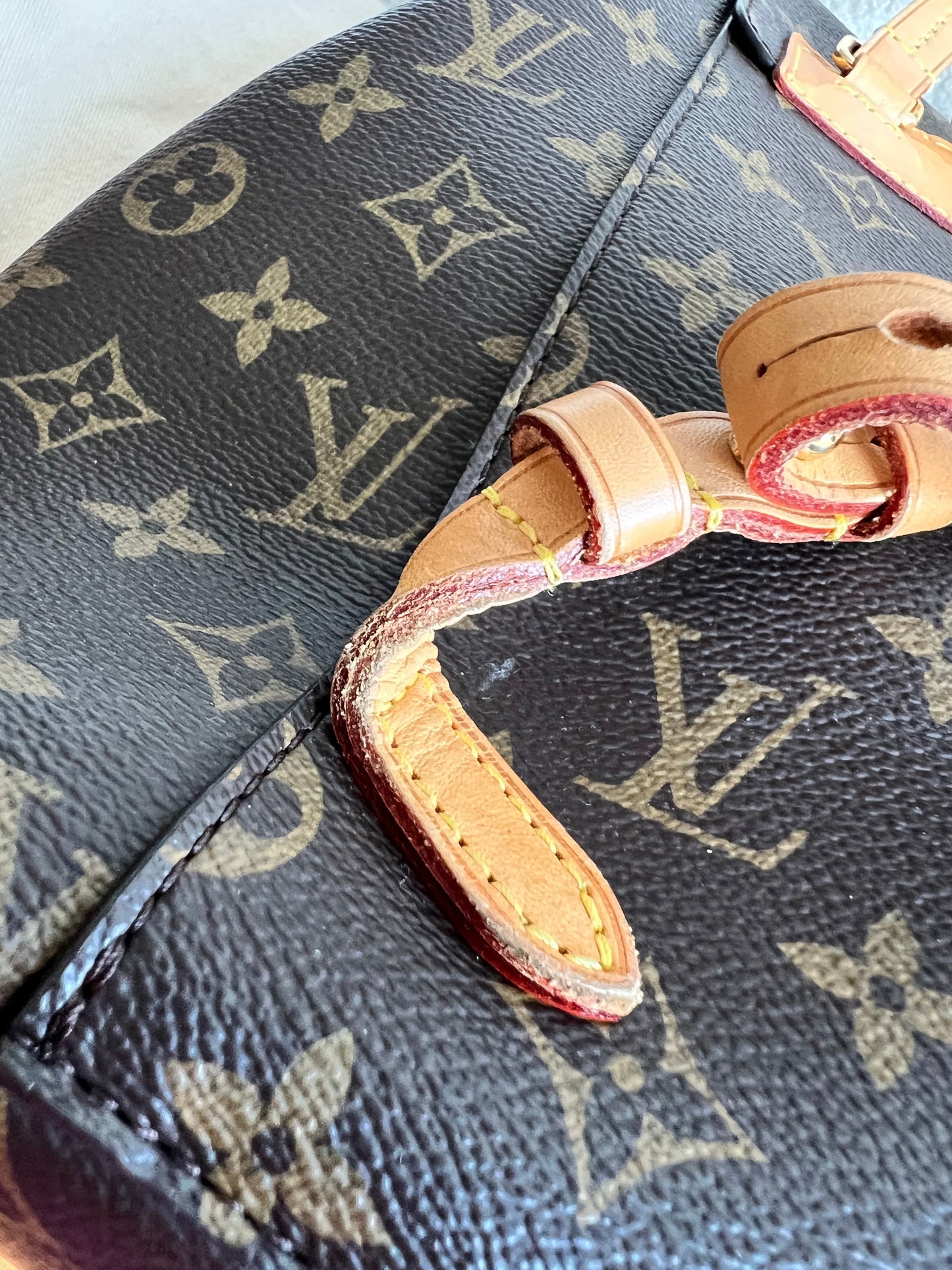 Louis Vuitton Montsouris PM Backpack (£1980)