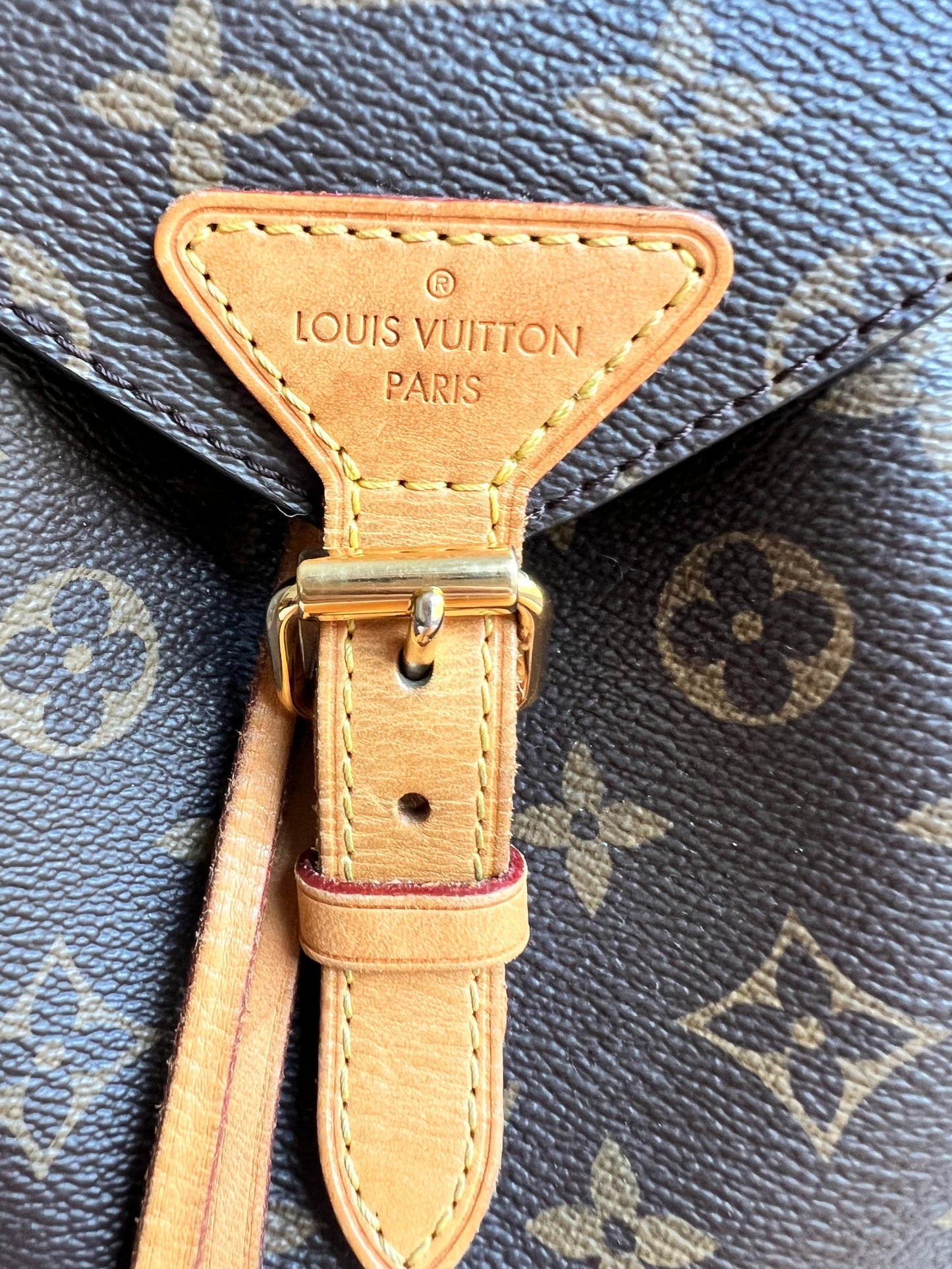 Louis Vuitton Montsouris PM Backpack (£1980)