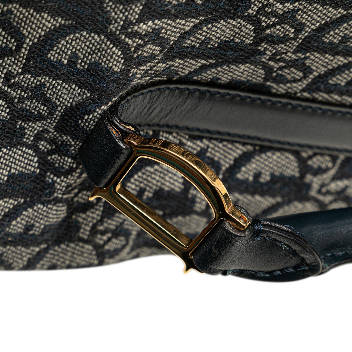 Blue Dior Oblique Trotter Tote