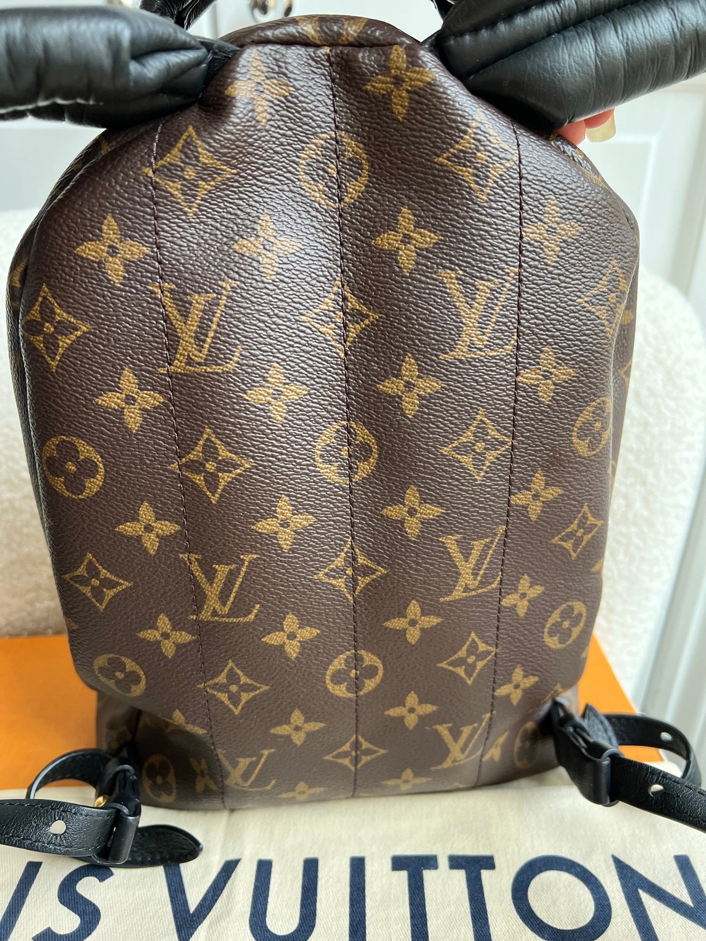 Louis Vuitton Palm Springs PM Backpack (RRP £1,860)