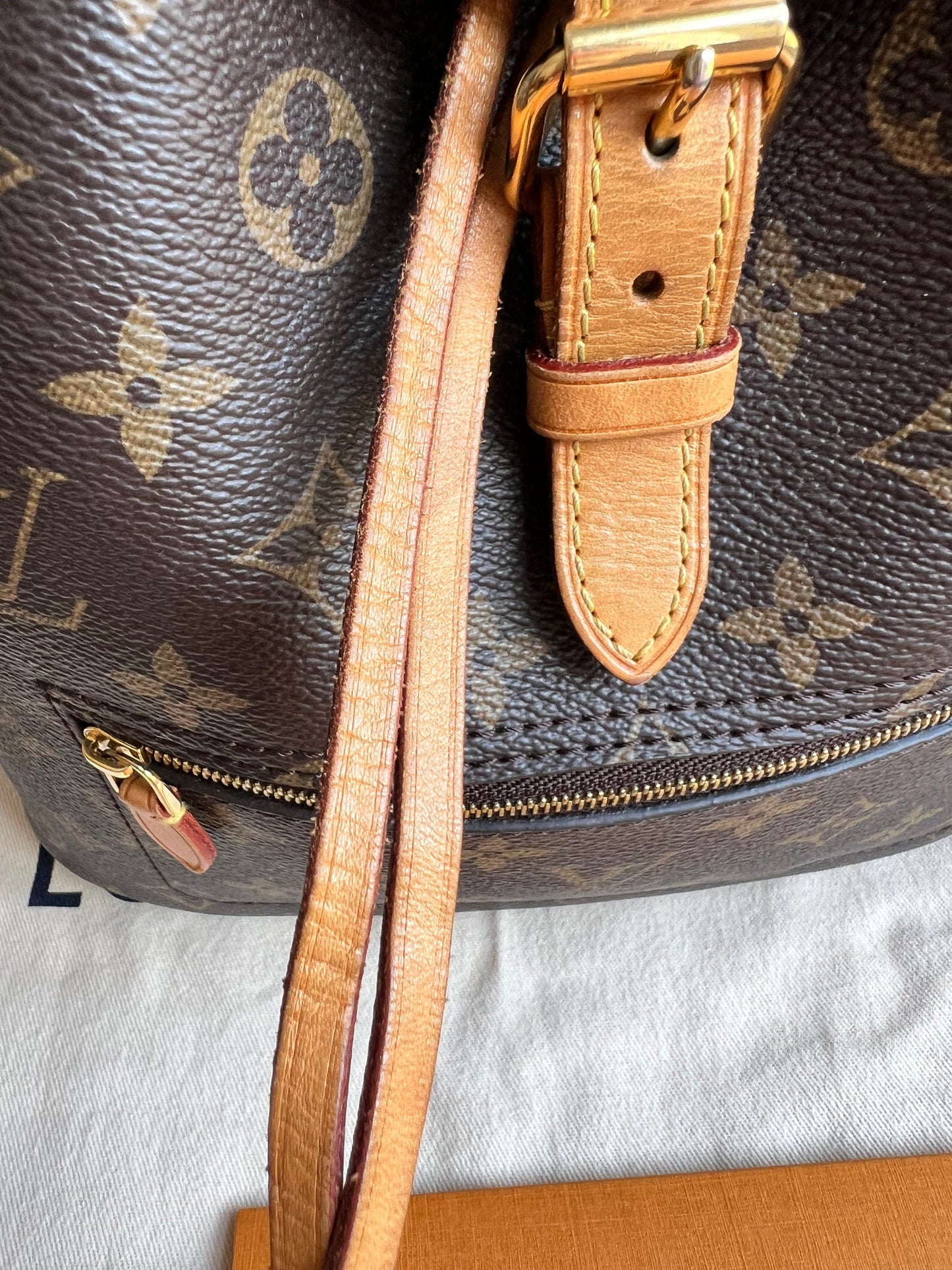 Louis Vuitton Montsouris PM Backpack (£1980)