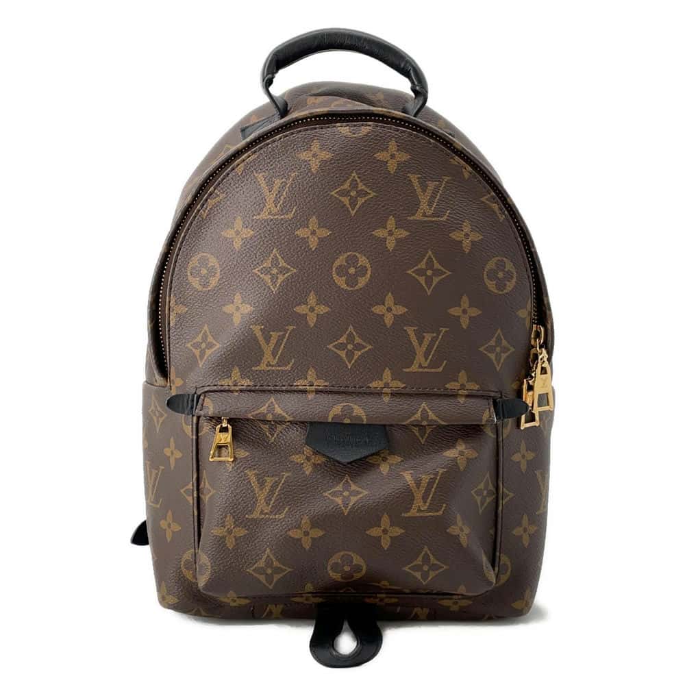LOUIS VUITTON Palm Springs Backpack Noir M44874 Monogram Size MM