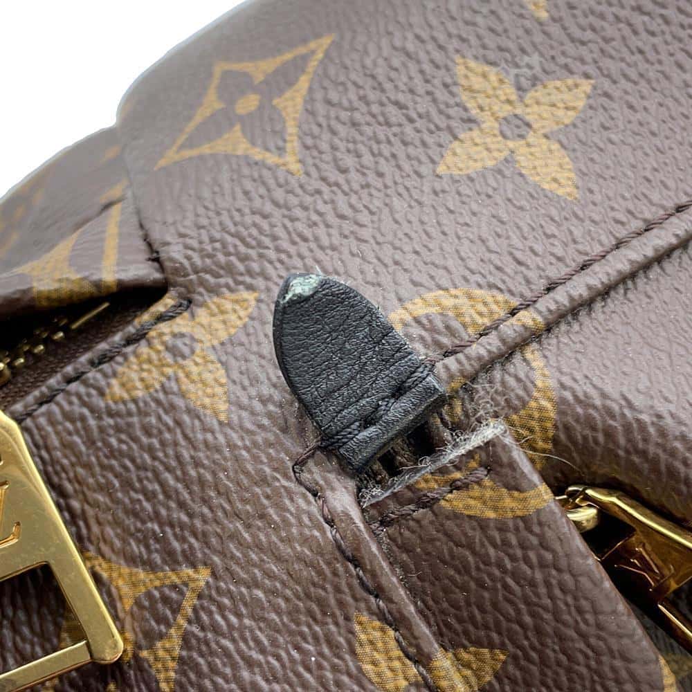 LOUIS VUITTON Palm Springs Backpack Noir M44874 Monogram Size MM