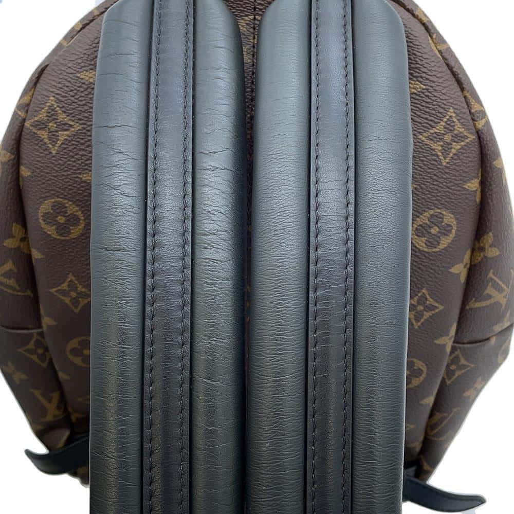 LOUIS VUITTON Palm Springs Backpack Noir M44874 Monogram Size MM