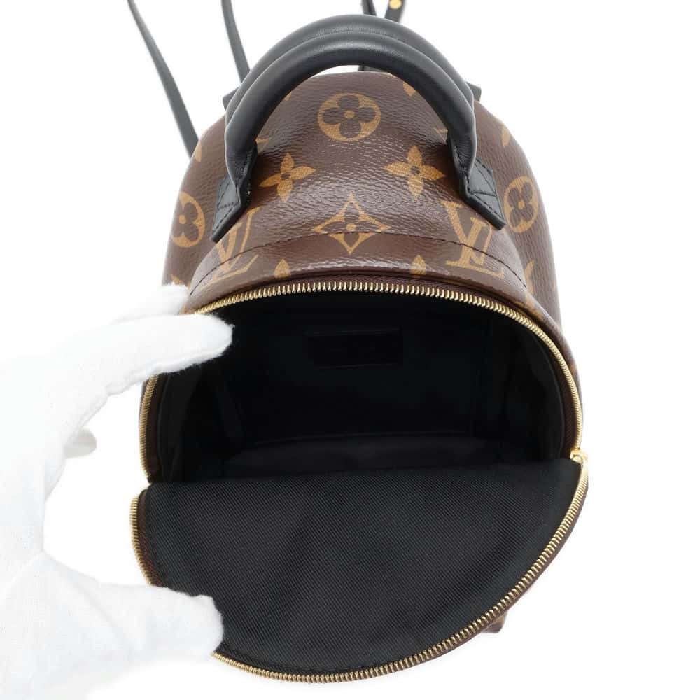 LOUIS VUITTON Palm Springs Backpack Noir M44873 Monogram Size MINI