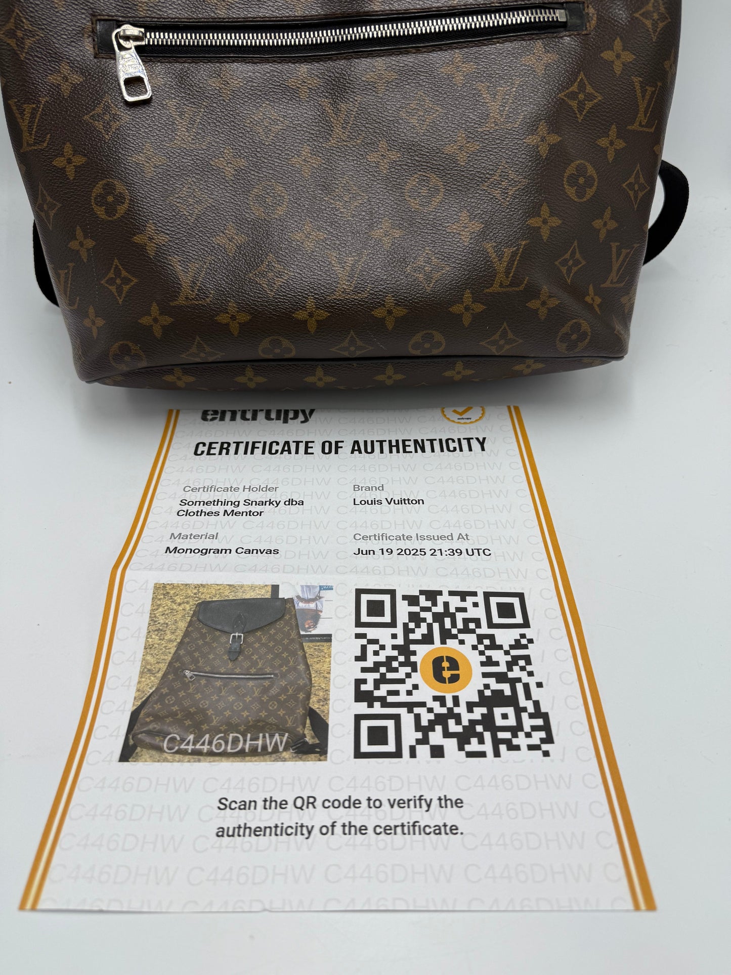 Louis Vuitton Palk Designer Luxury Backpack