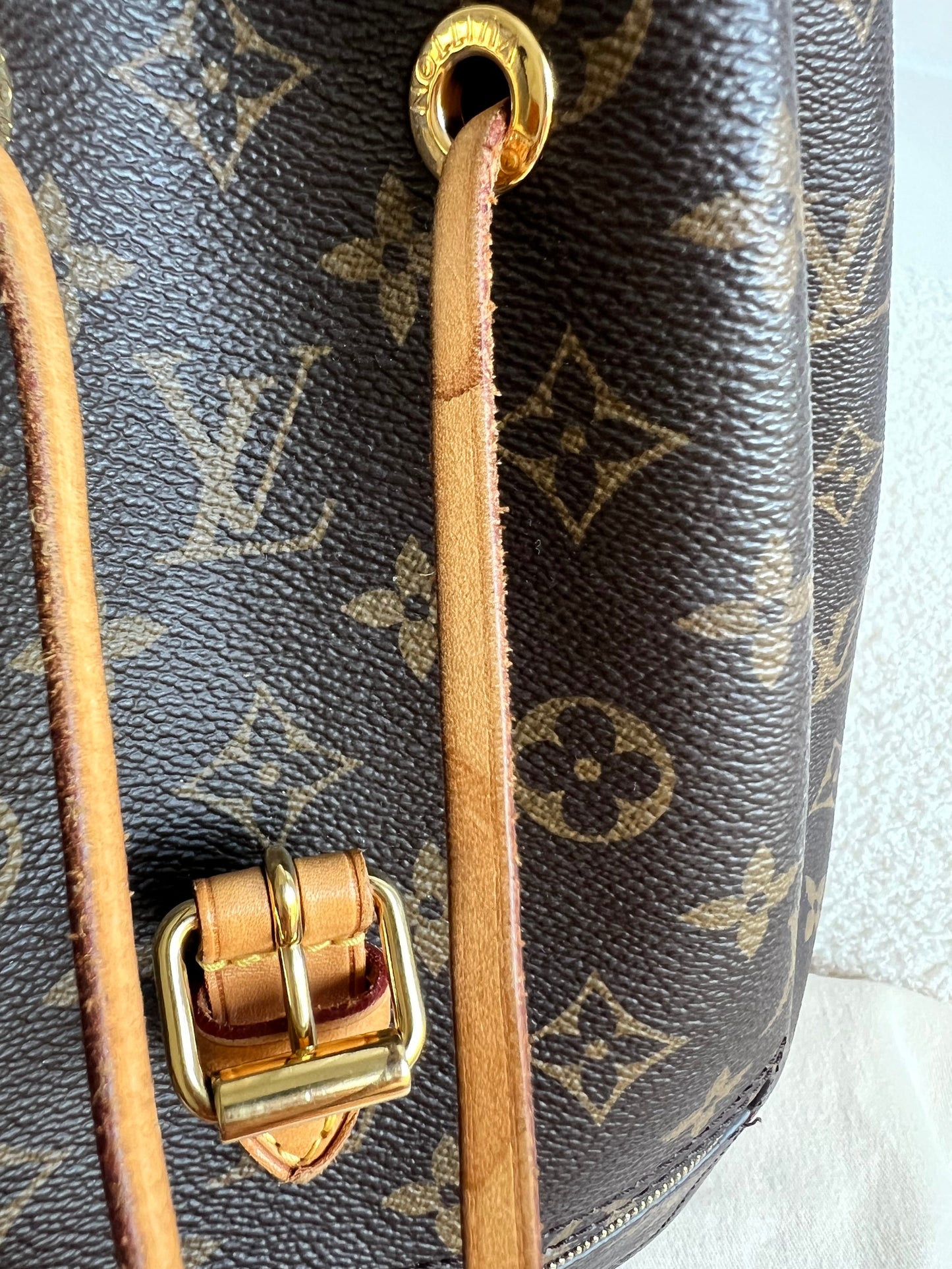 Louis Vuitton Montsouris PM Backpack (£1980)