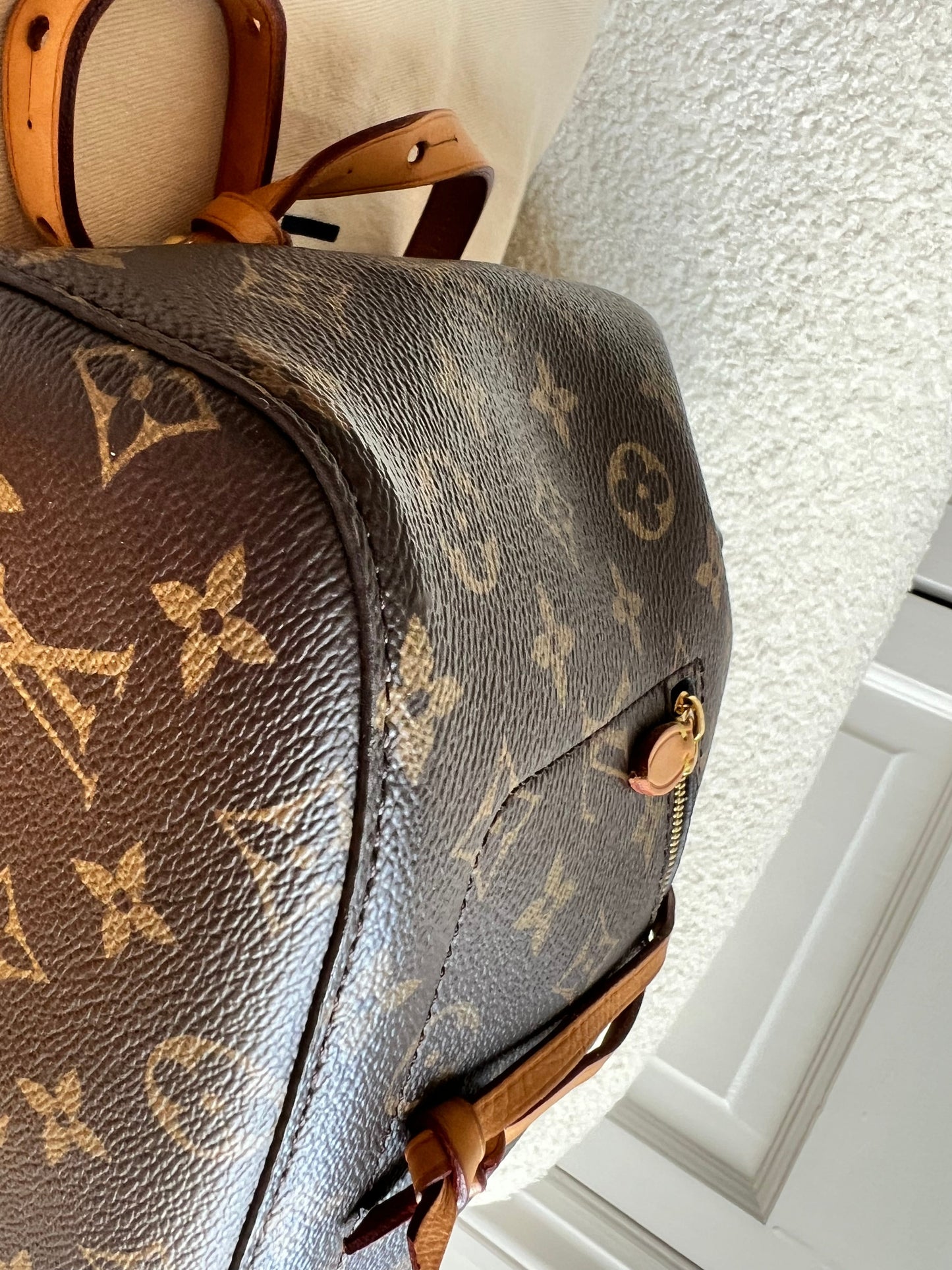 Louis Vuitton Montsouris PM Backpack (£1980)