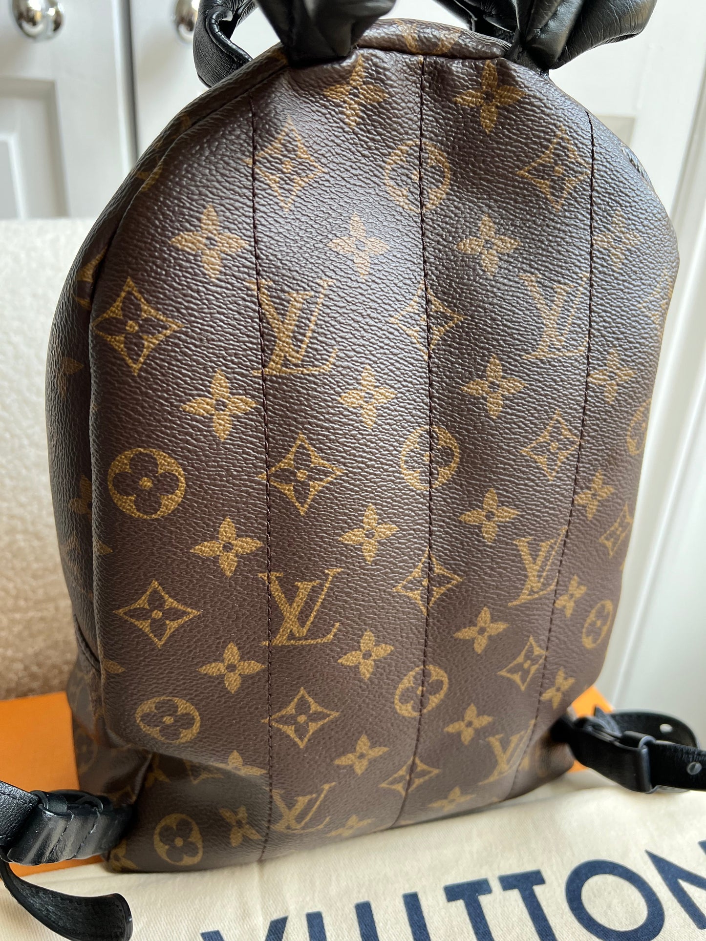 Louis Vuitton Palm Springs PM Backpack (RRP £1,860)