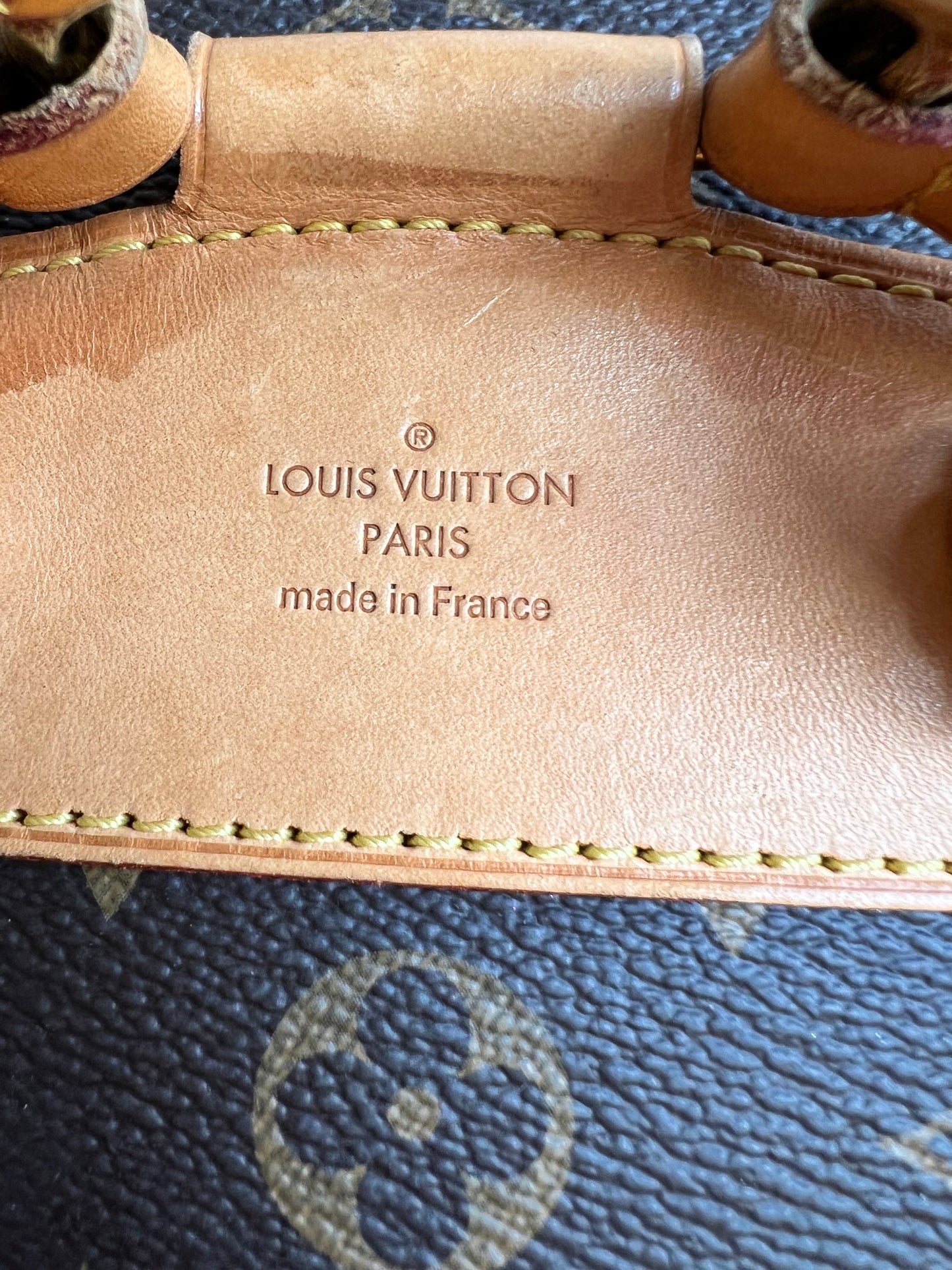 Louis Vuitton Montsouris PM Backpack (£1980)