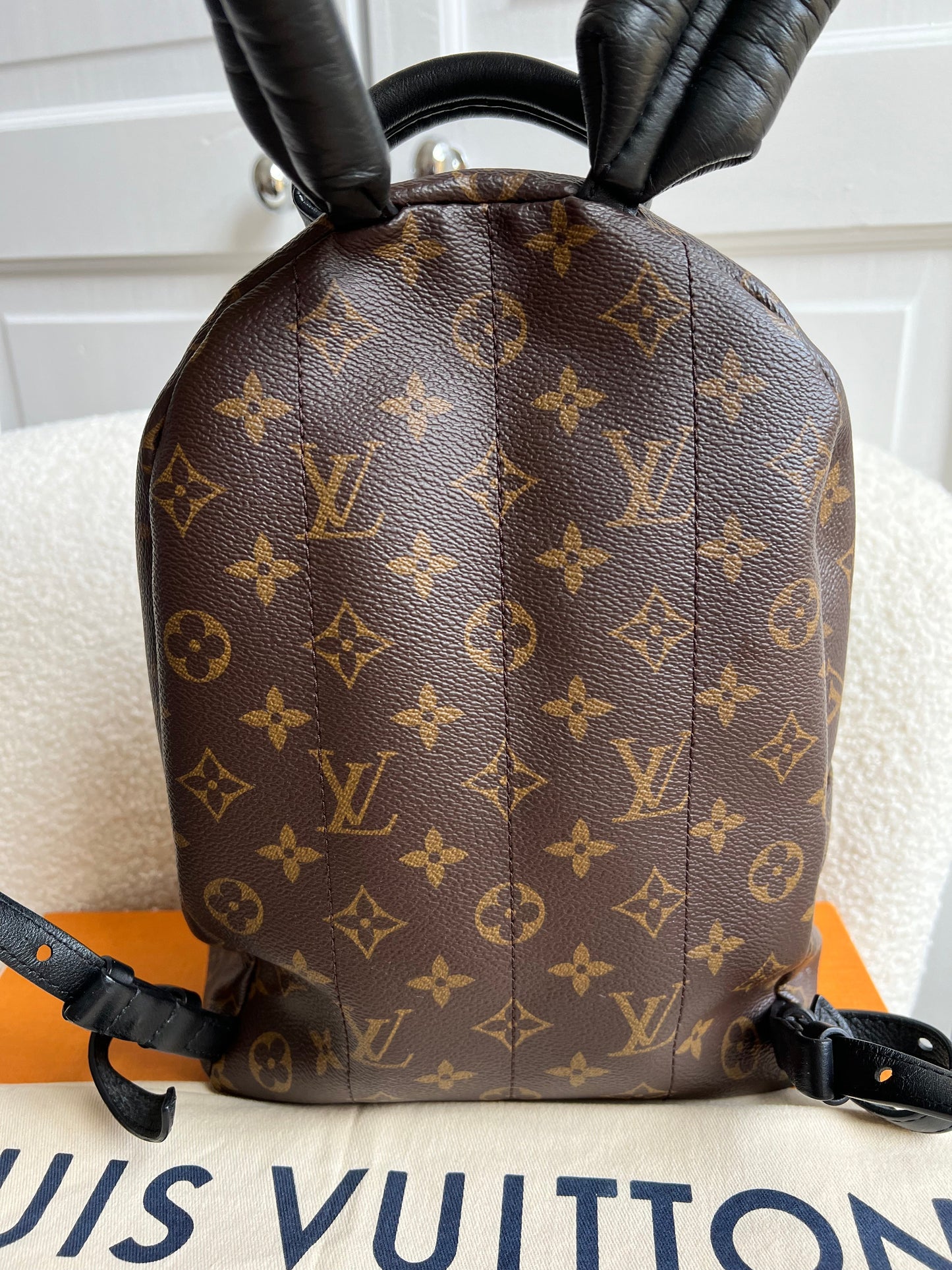 Louis Vuitton Palm Springs PM Backpack (RRP £1,860)