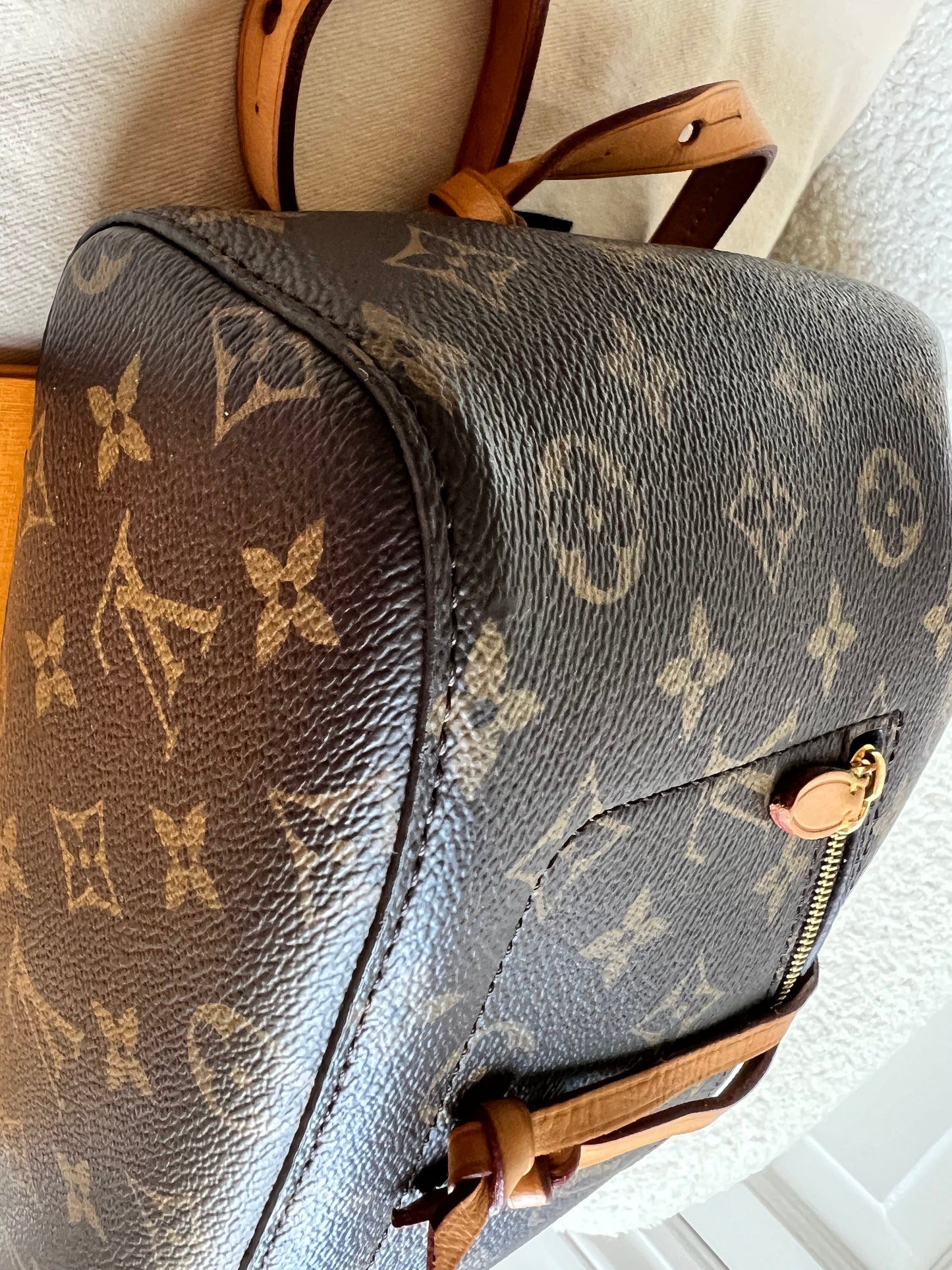 Louis Vuitton Montsouris PM Backpack (£1980)
