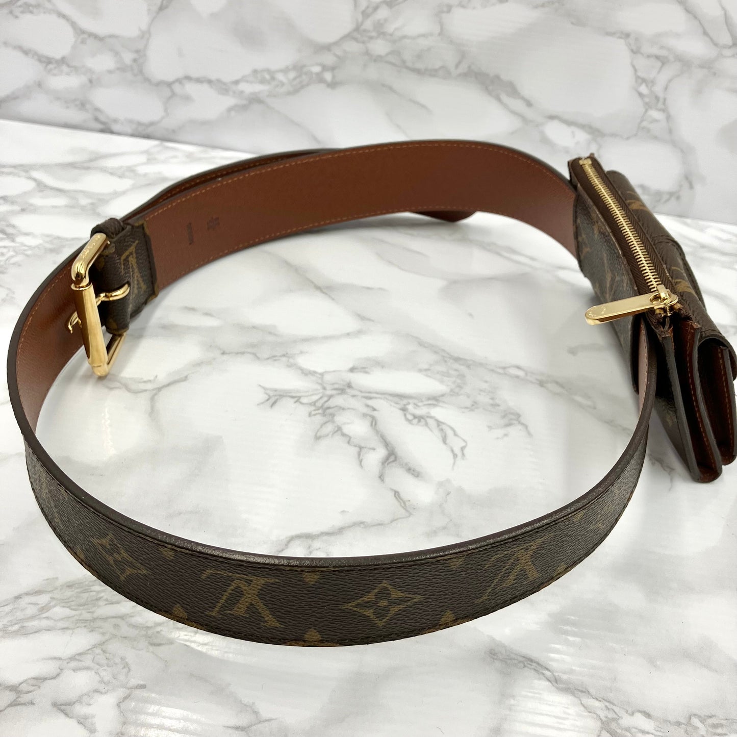 LOUIS VUITTON Monogram Santure Pochette Duo