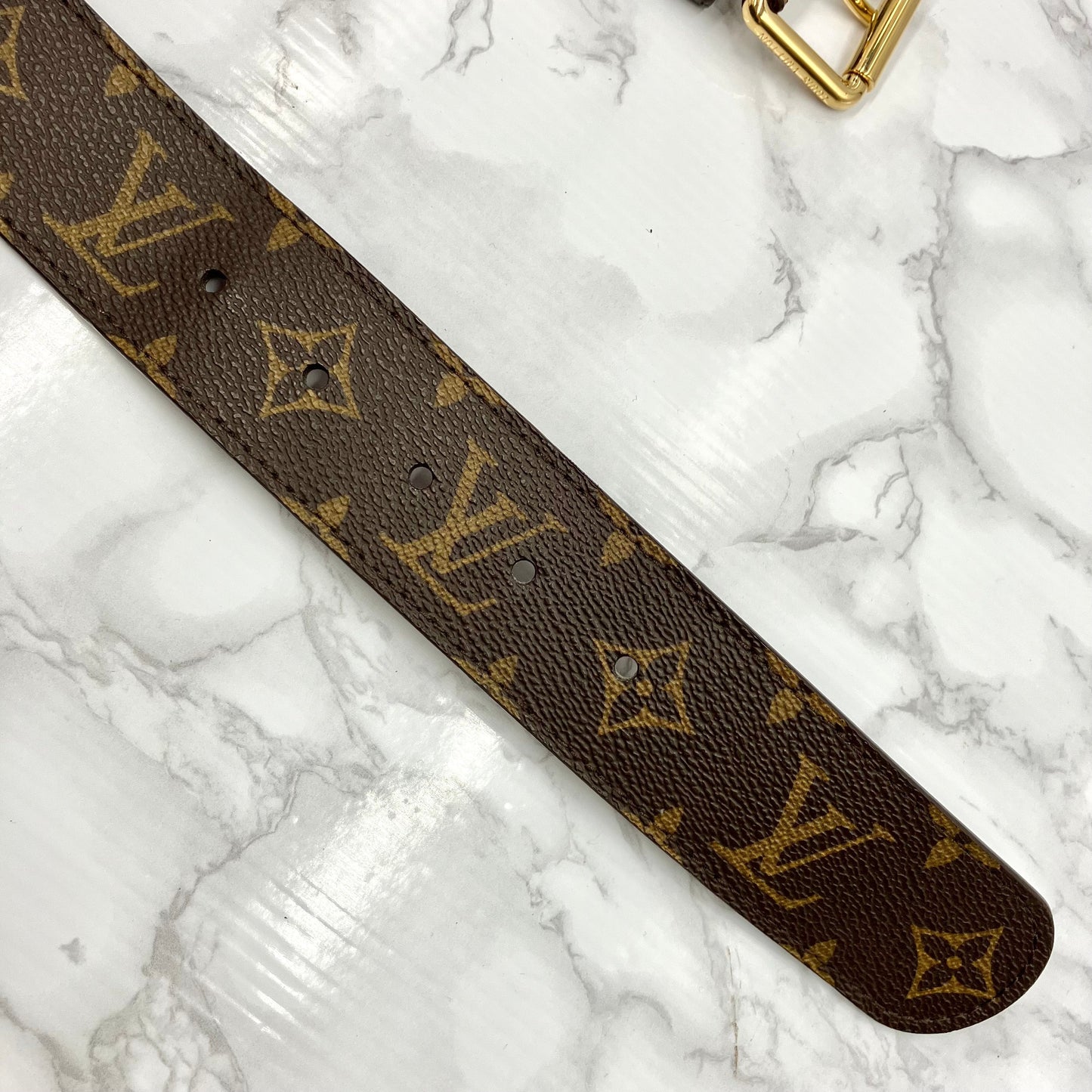 LOUIS VUITTON Monogram Santure Pochette Duo