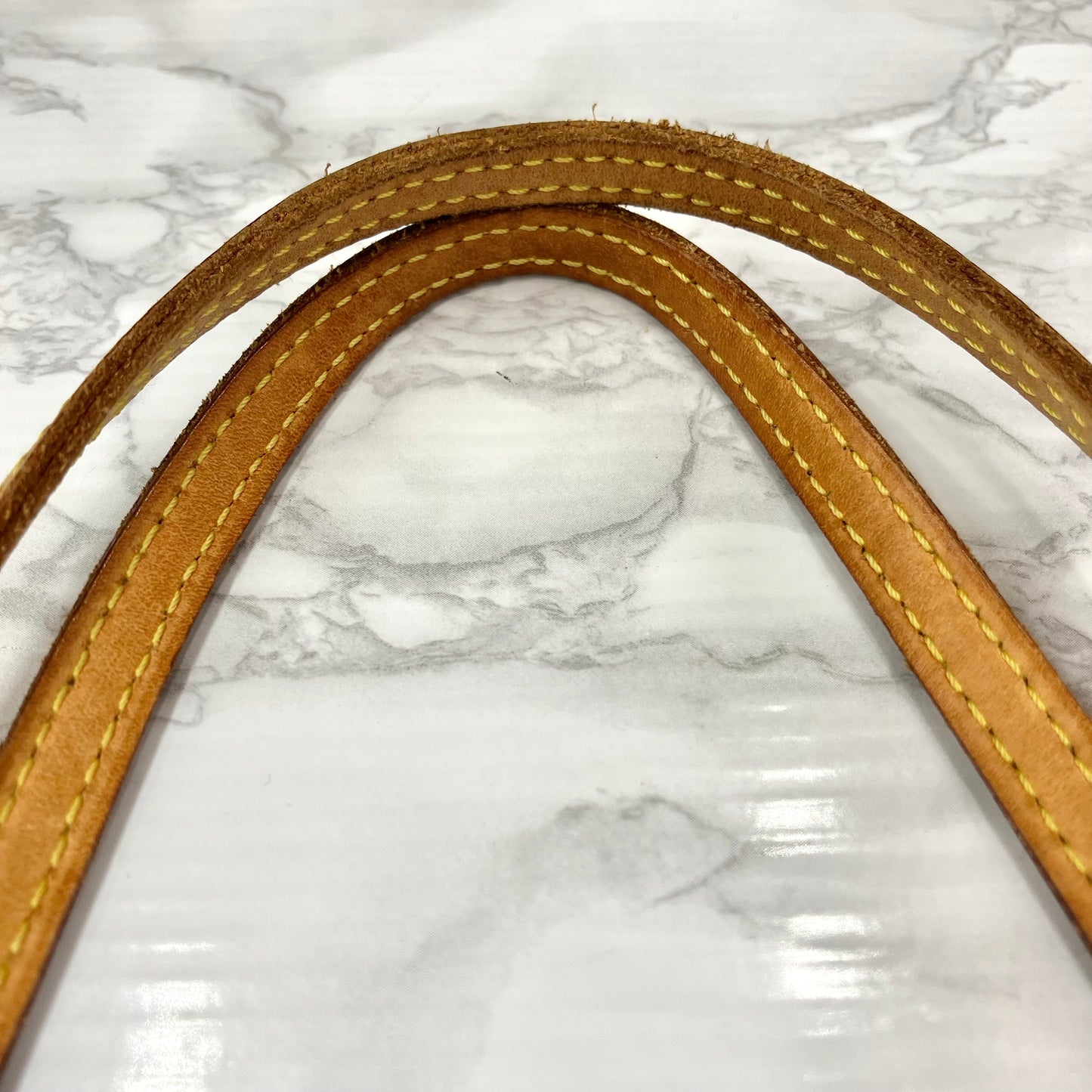LOUIS VUITTON Monogram Neverfull PM