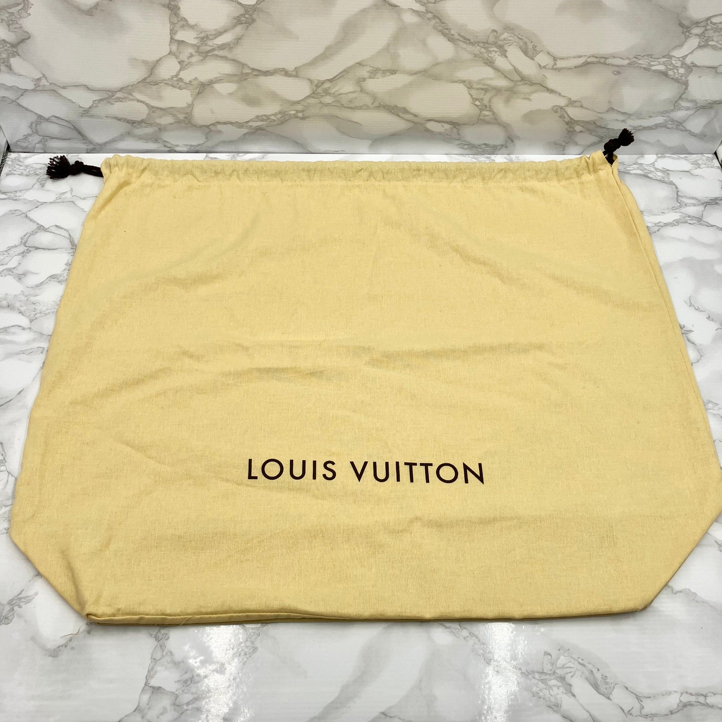 LOUIS VUITTON Monogram Neverfull PM