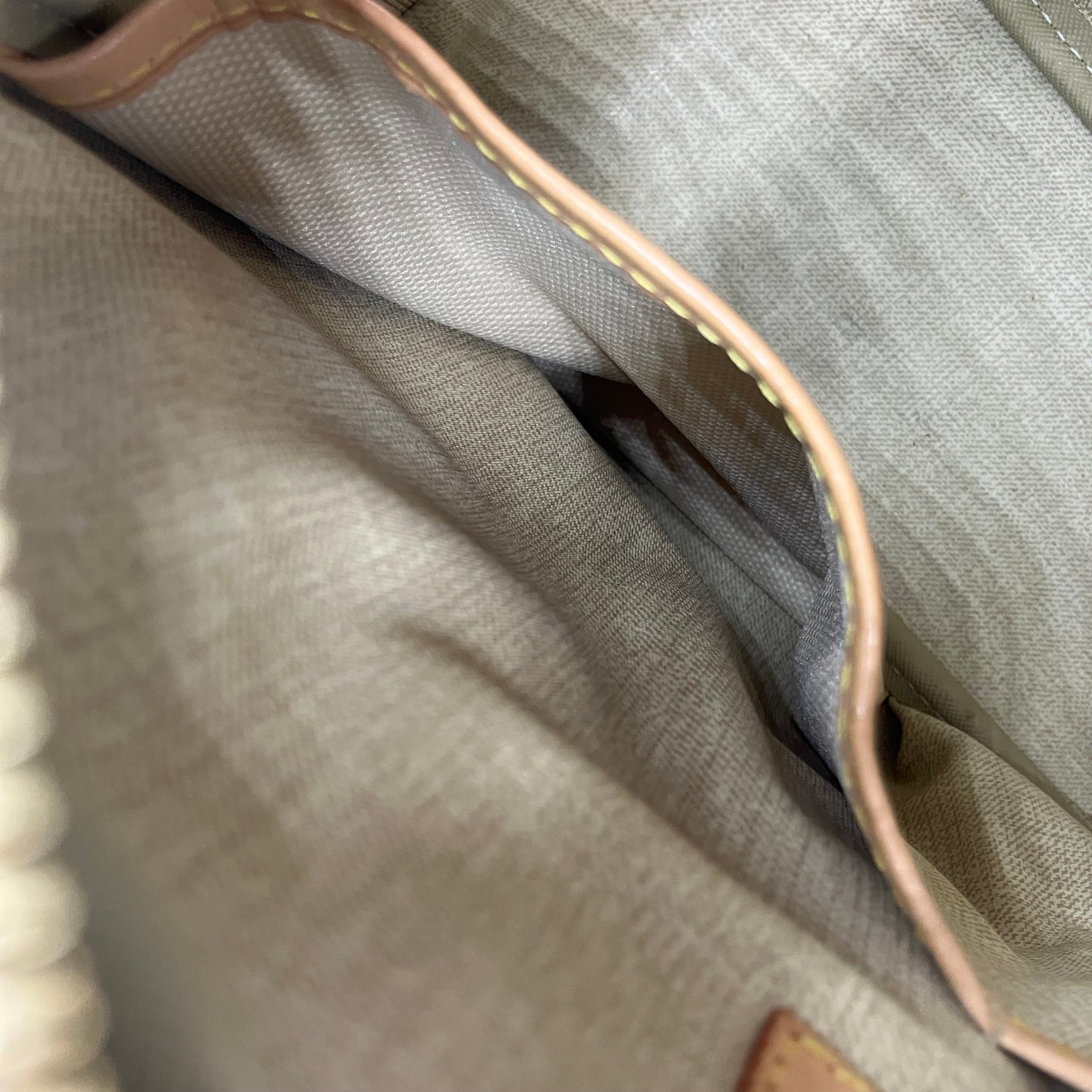 LOUIS VUITTON Monogram Trouville handbag