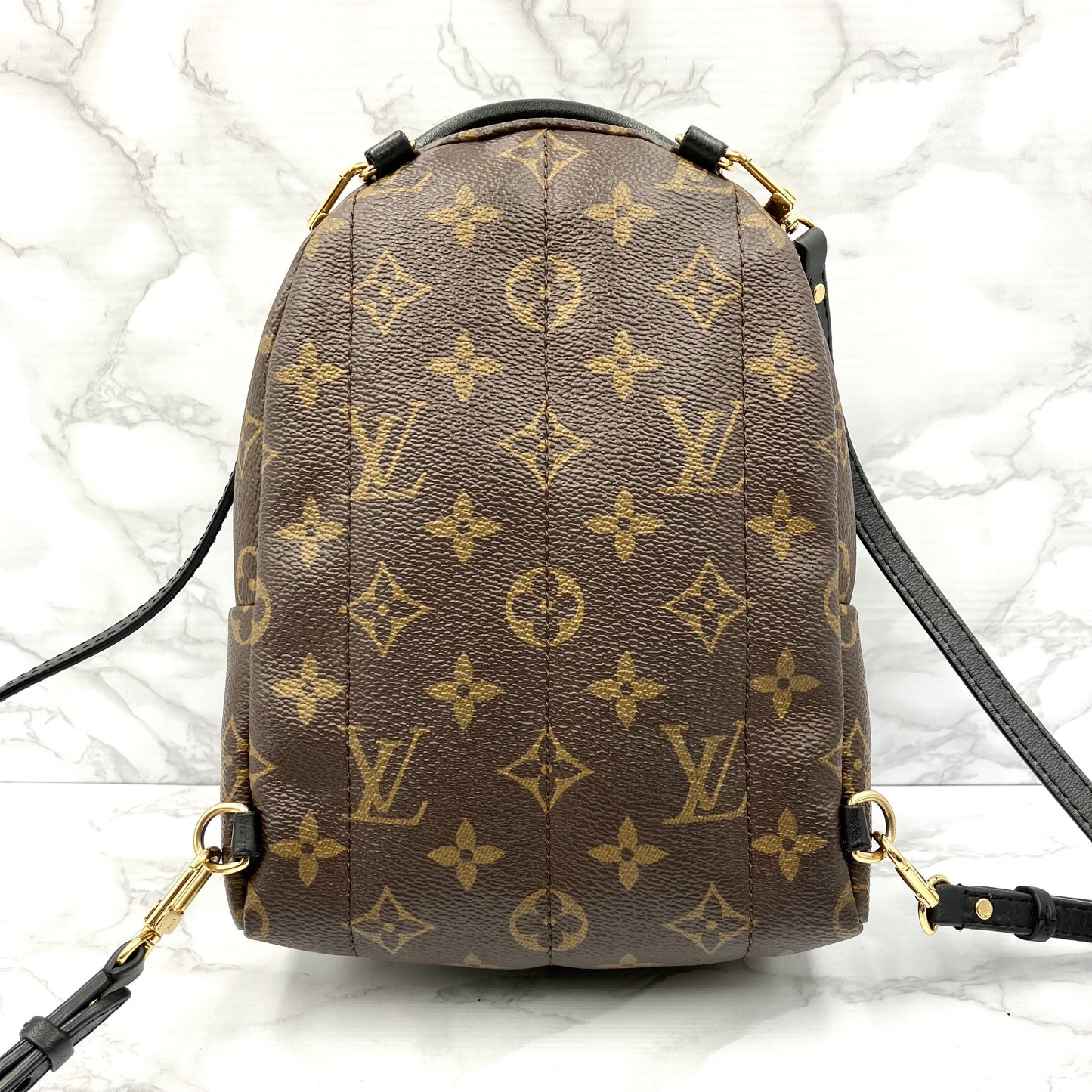 LOUIS VUITTON Monogram Mini Palm Springs Backpack