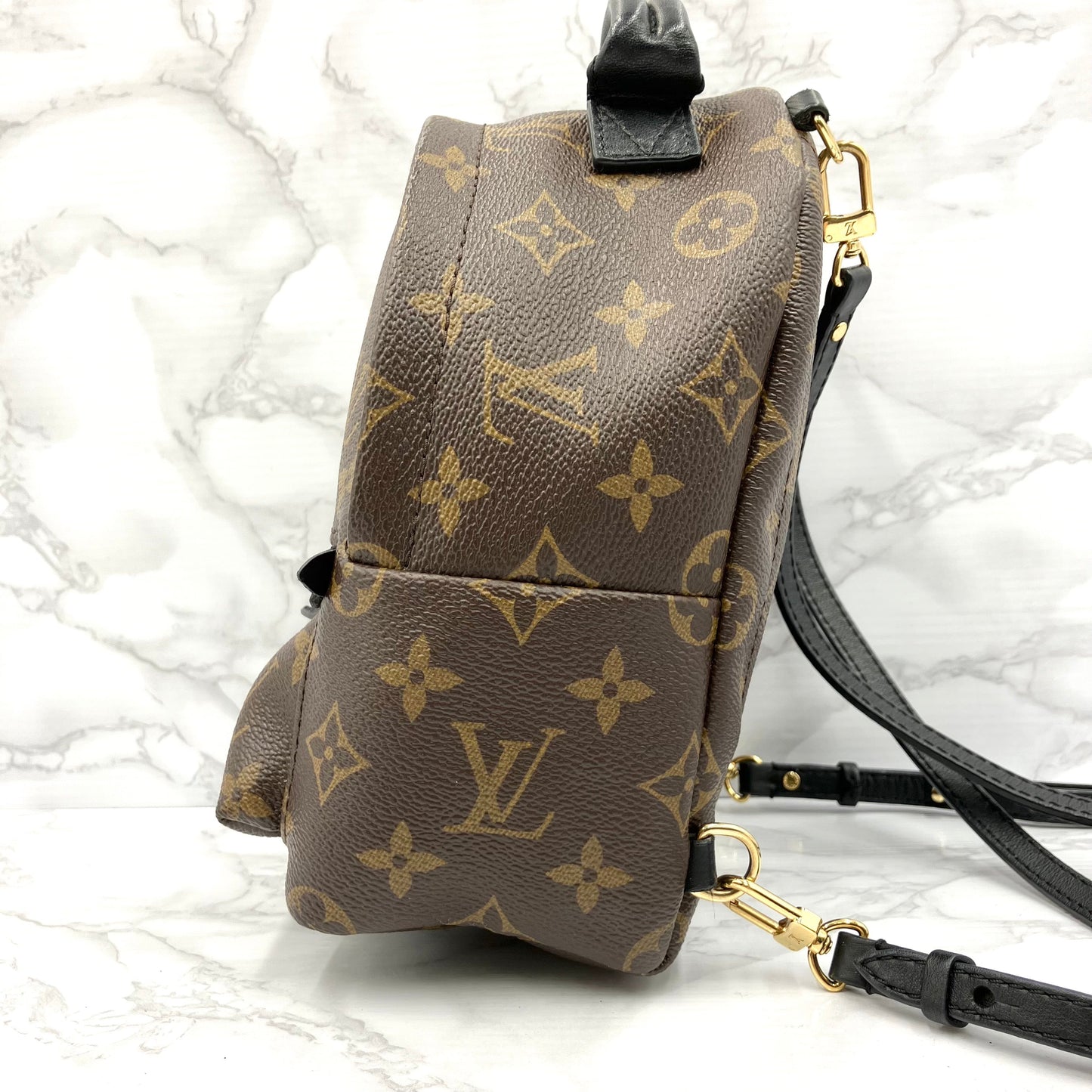 LOUIS VUITTON Monogram Mini Palm Springs Backpack