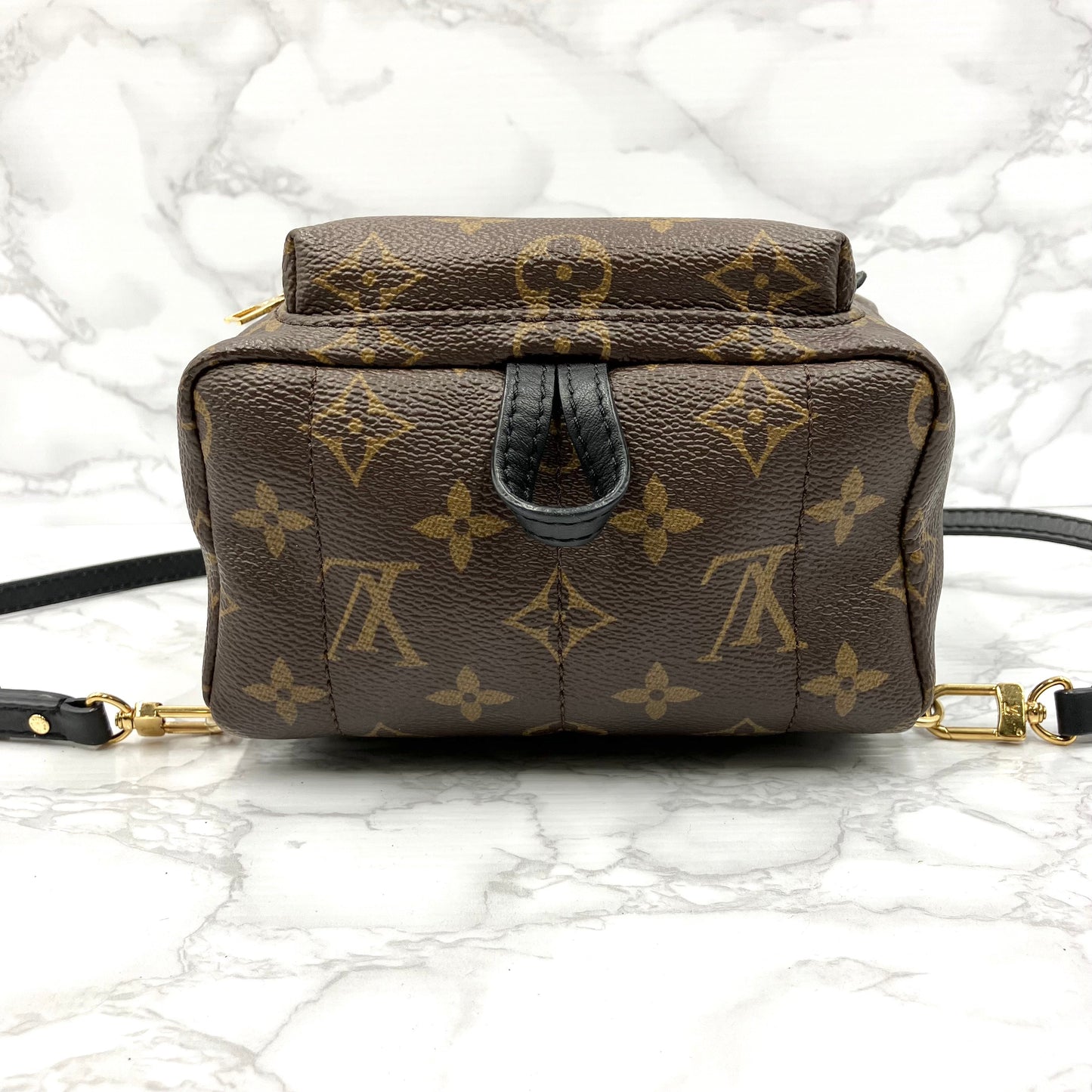 LOUIS VUITTON Monogram Mini Palm Springs Backpack