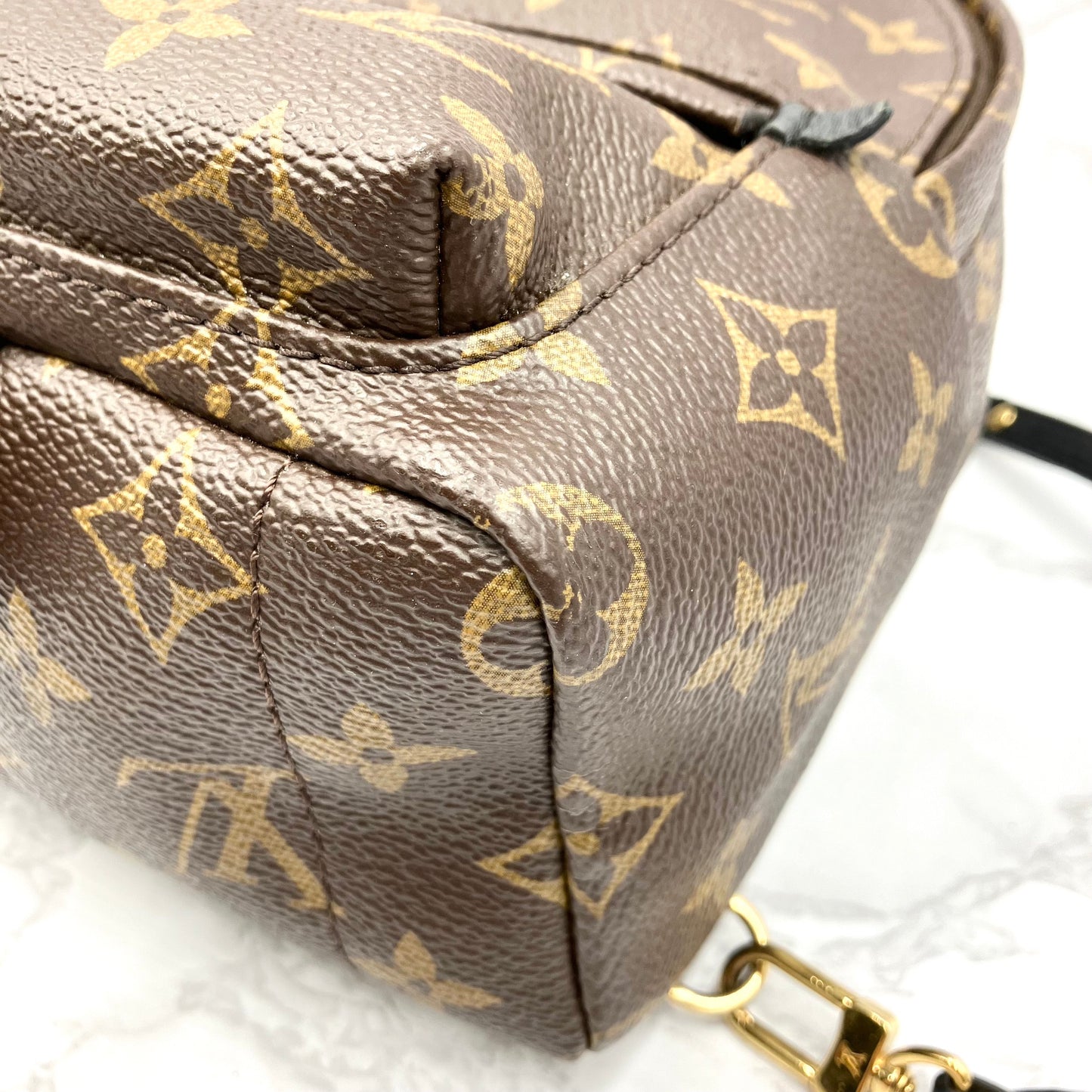 LOUIS VUITTON Monogram Mini Palm Springs Backpack