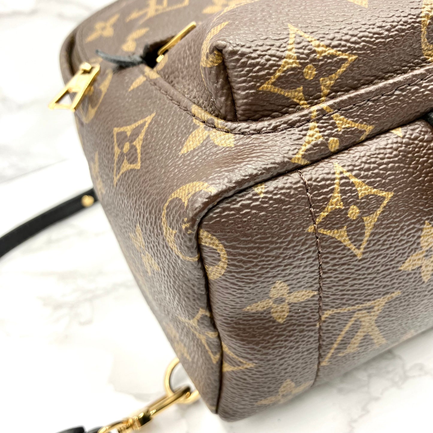 LOUIS VUITTON Monogram Mini Palm Springs Backpack