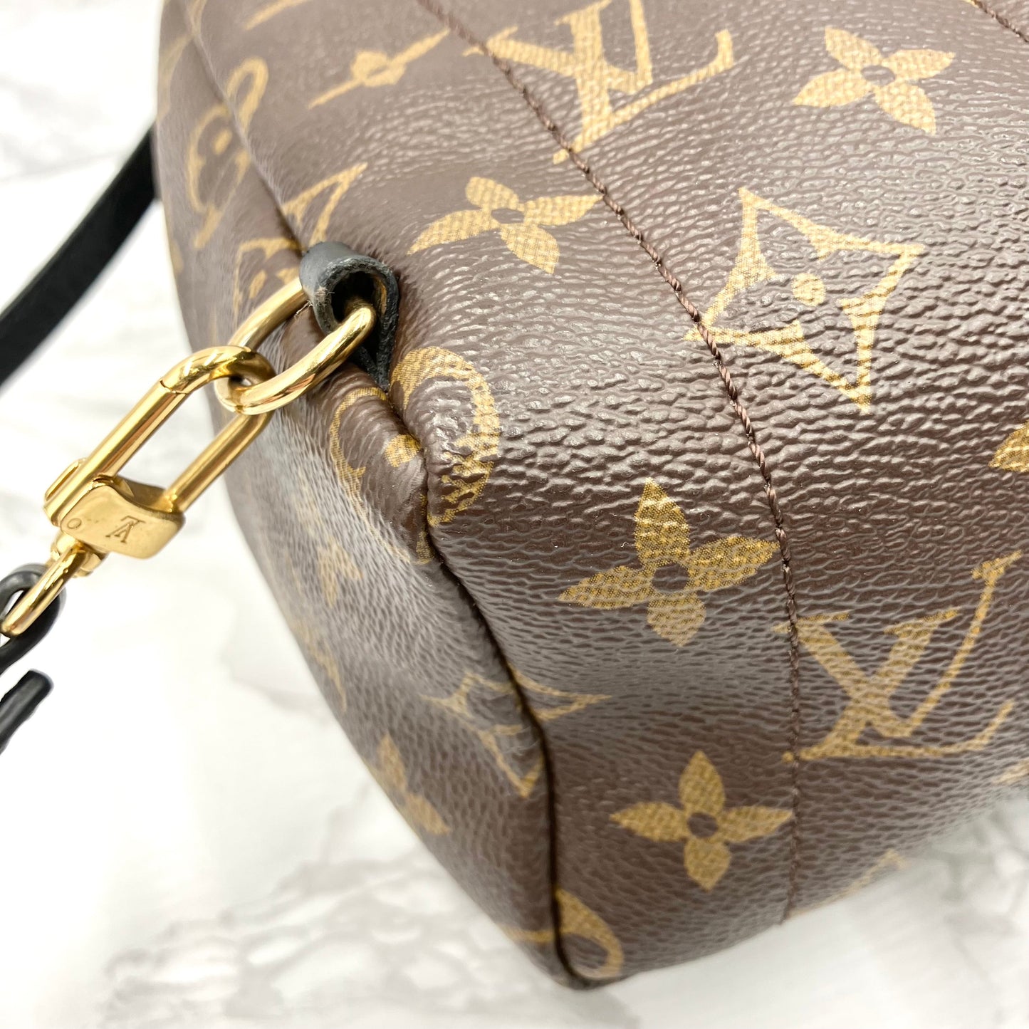 LOUIS VUITTON Monogram Mini Palm Springs Backpack
