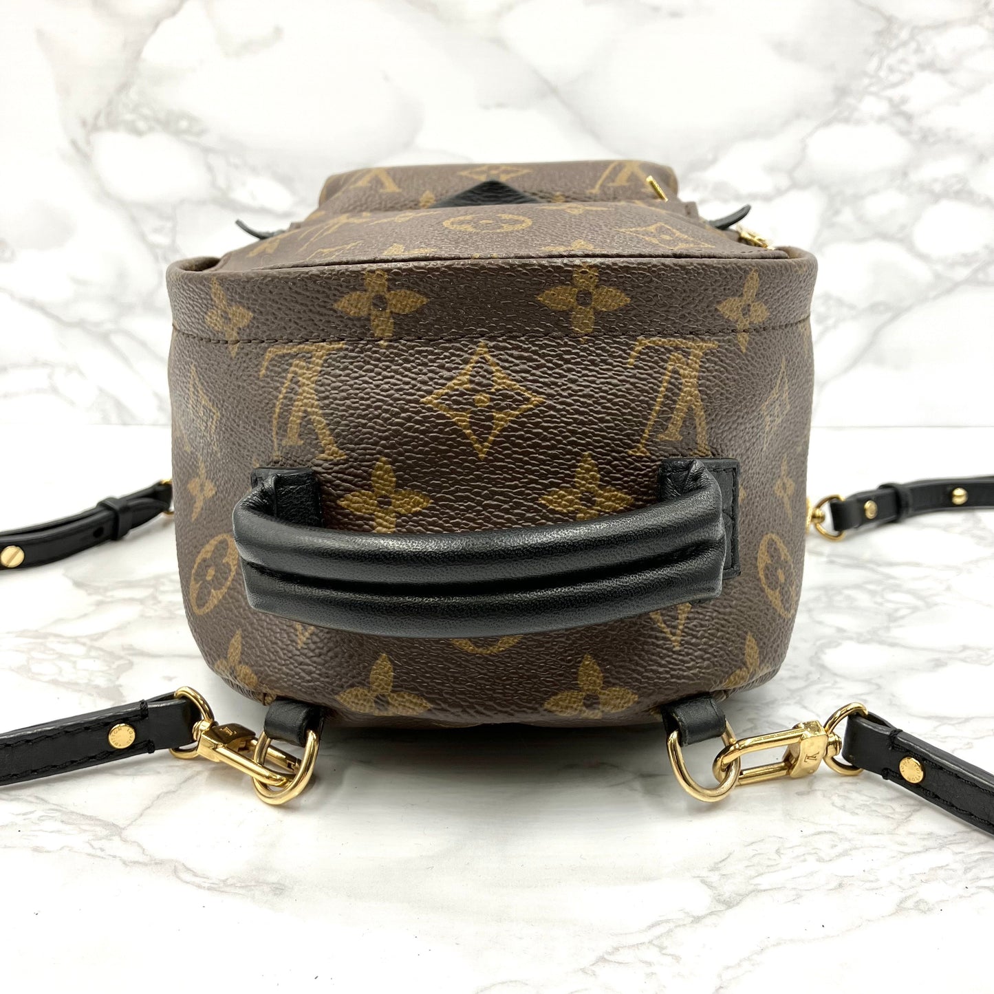 LOUIS VUITTON Monogram Mini Palm Springs Backpack
