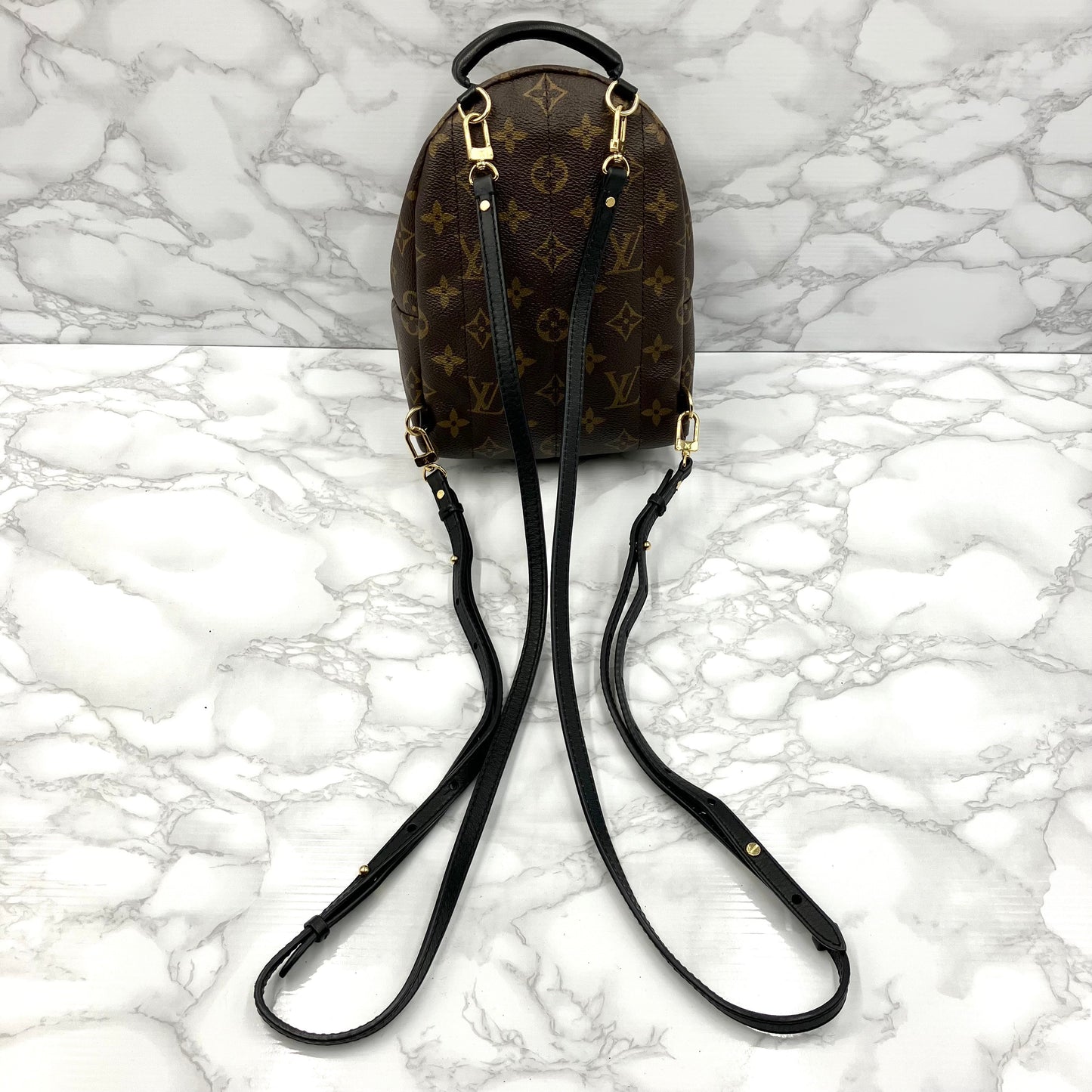 LOUIS VUITTON Monogram Mini Palm Springs Backpack