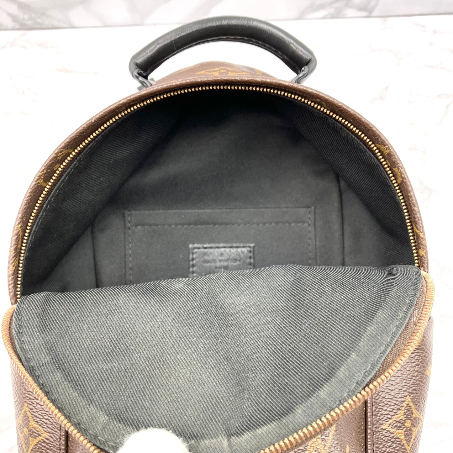 LOUIS VUITTON Monogram Mini Palm Springs Backpack