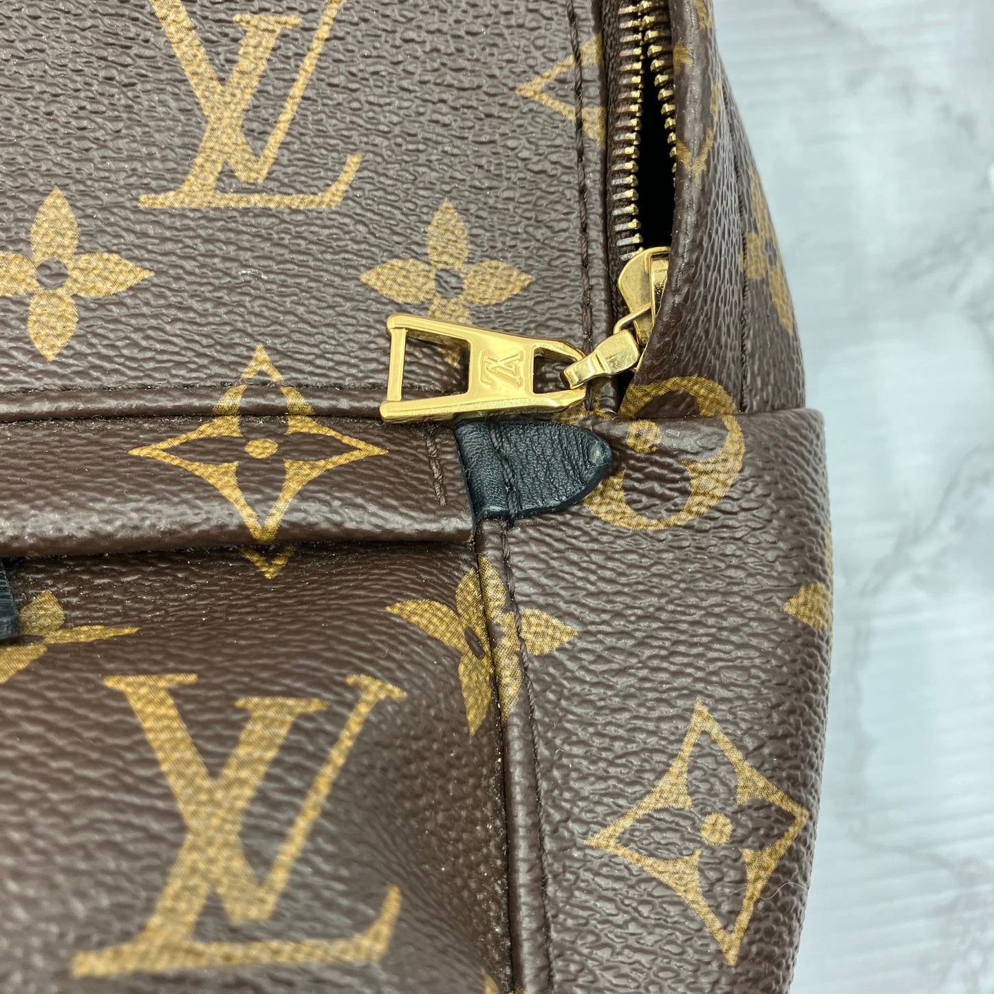 LOUIS VUITTON Monogram Mini Palm Springs Backpack