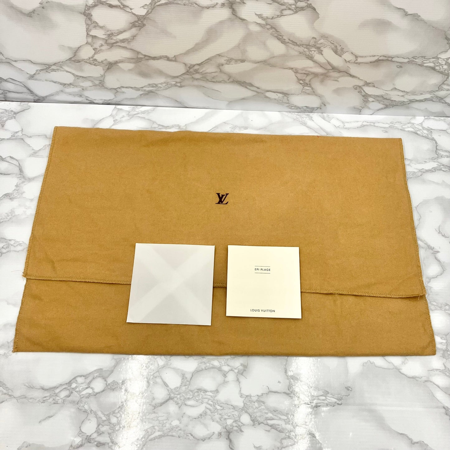 LOUIS VUITTON EPi Mini Lagoon Bay