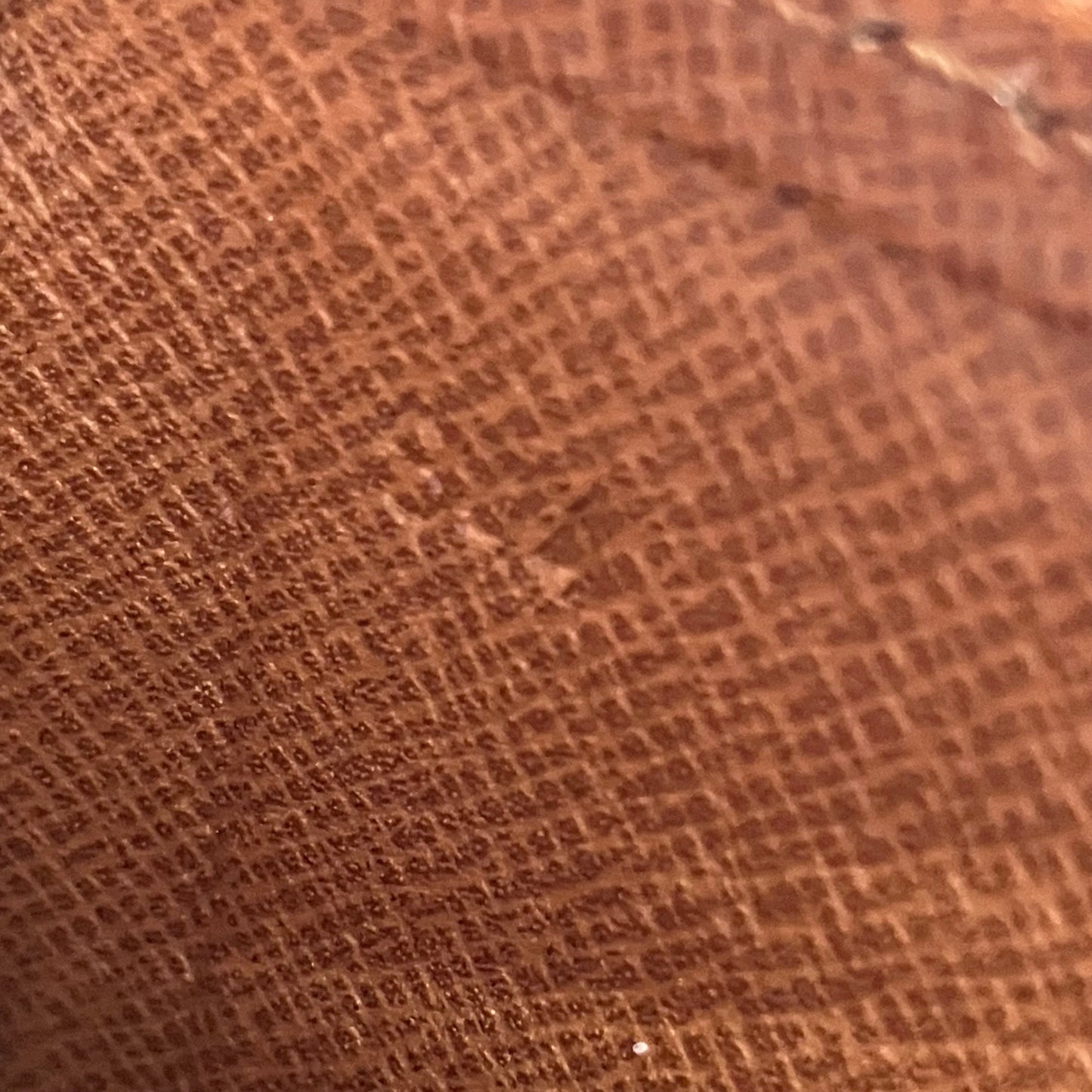 LOUIS VUITTON Monogram cartochiere