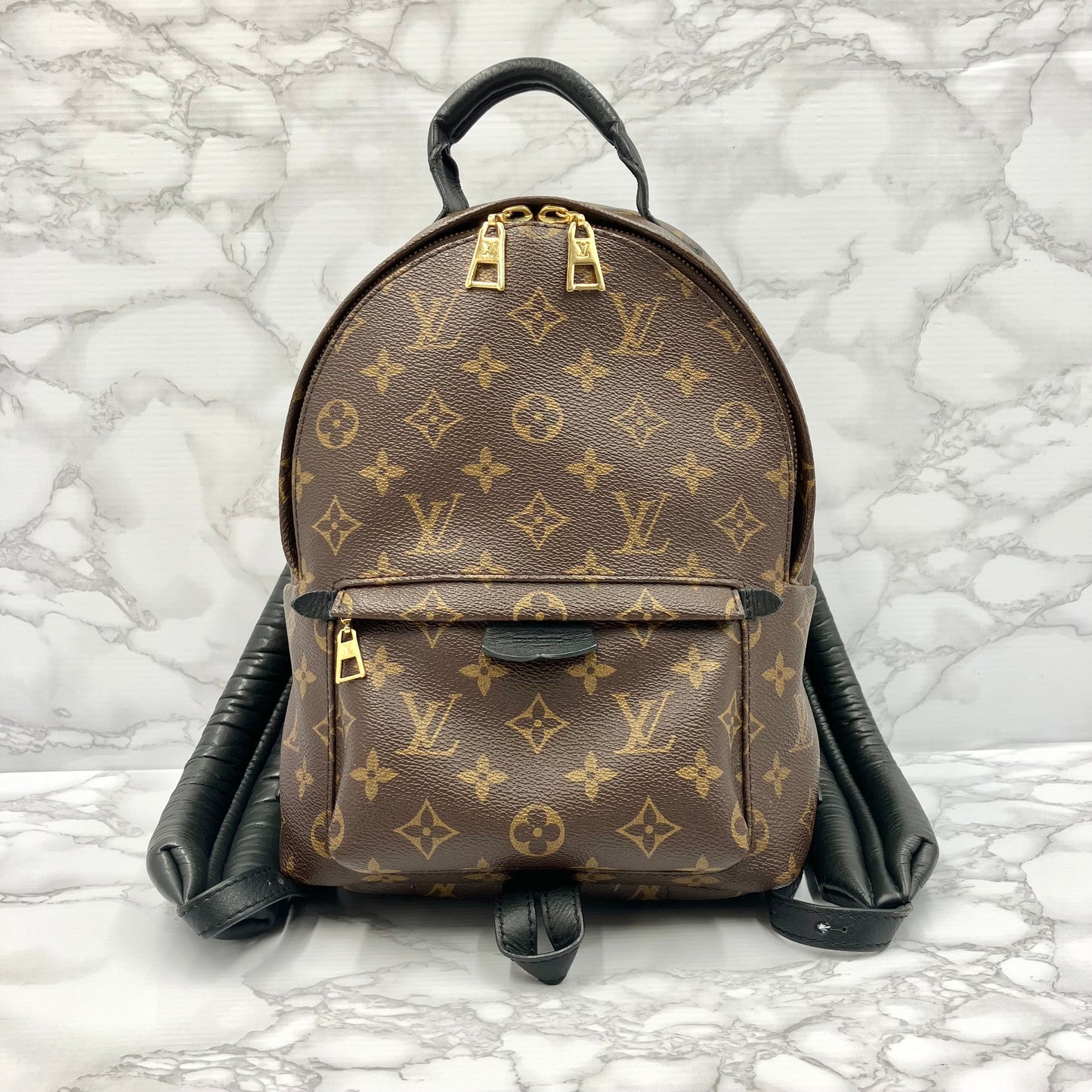 LOUIS VUITTON Monogram Palm Springs PM