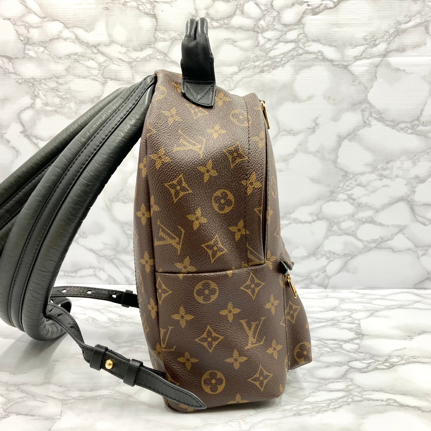 LOUIS VUITTON Monogram Palm Springs PM