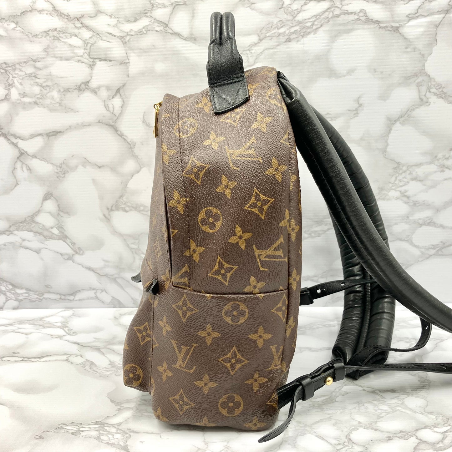 LOUIS VUITTON Monogram Palm Springs PM