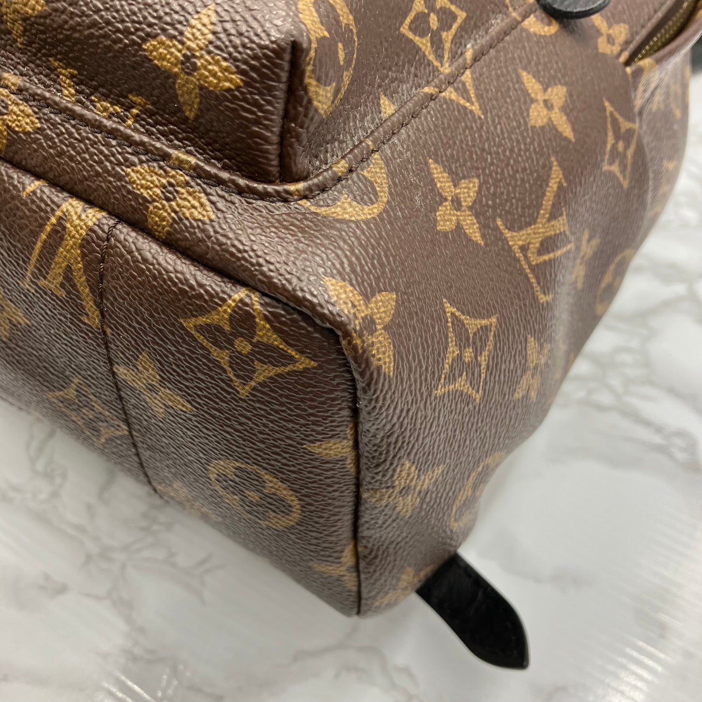 LOUIS VUITTON Monogram Palm Springs PM