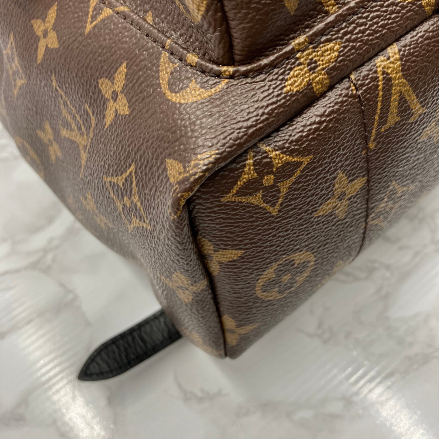 LOUIS VUITTON Monogram Palm Springs PM