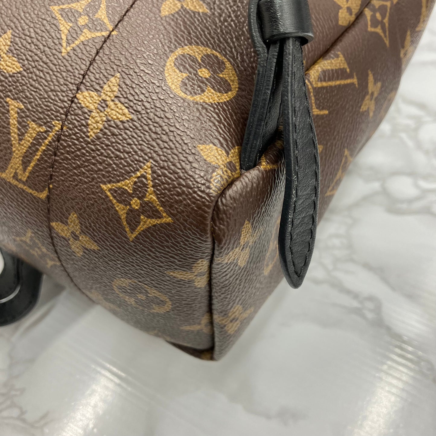 LOUIS VUITTON Monogram Palm Springs PM