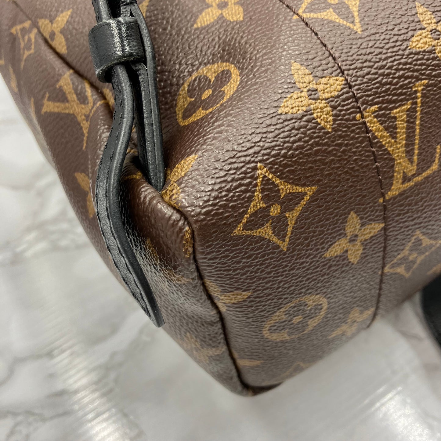 LOUIS VUITTON Monogram Palm Springs PM