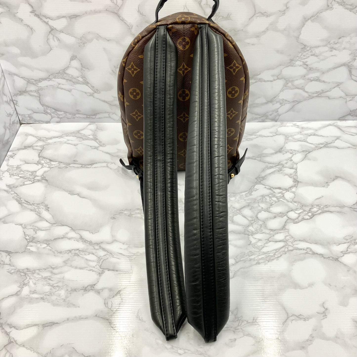 LOUIS VUITTON Monogram Palm Springs PM